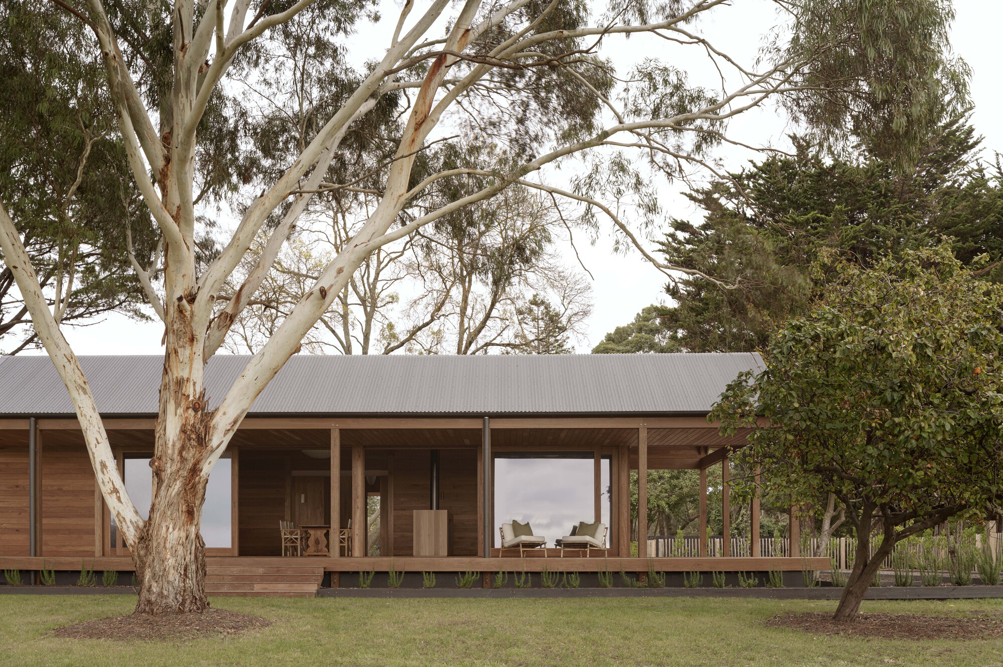 Frontal view of the timber and glass pavilion with deep verandah and eucalyptus canopy overhead