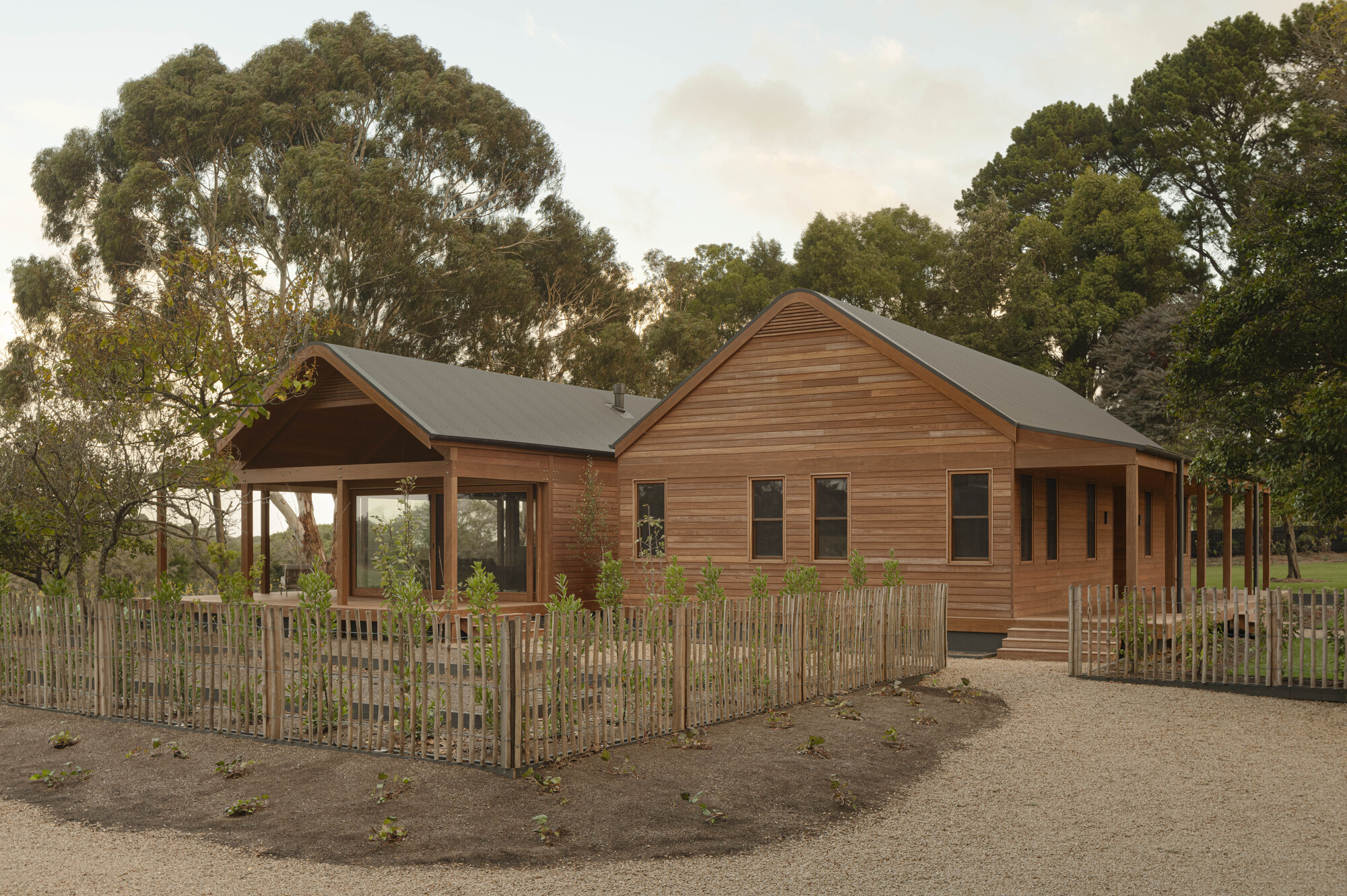 Timber-clad residence with gabled roofs and slatted fence enclosure surrounded by eucalyptus trees at dusk