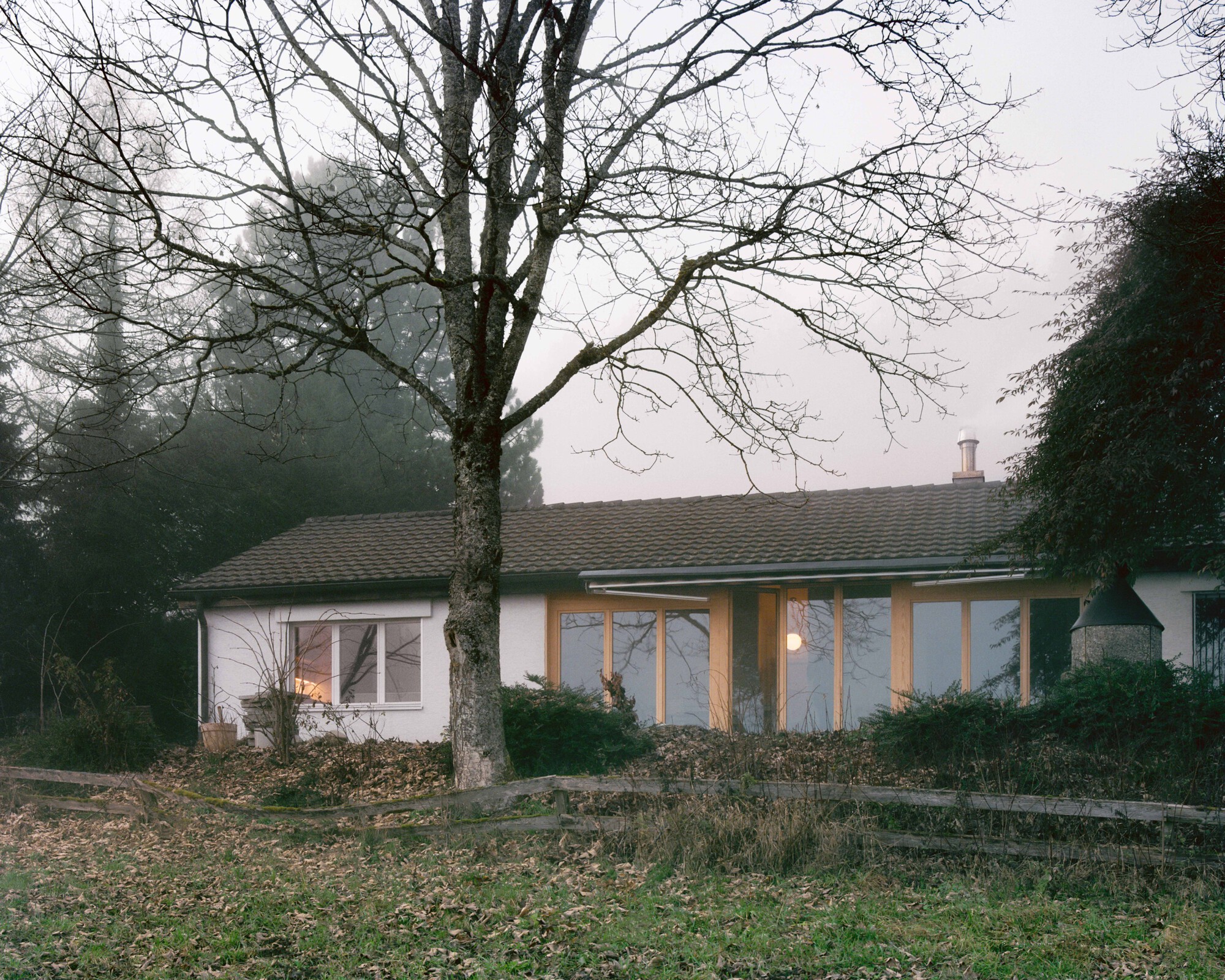 Garden facade with tiled roof and timber-framed windows beneath bare winter trees in mist