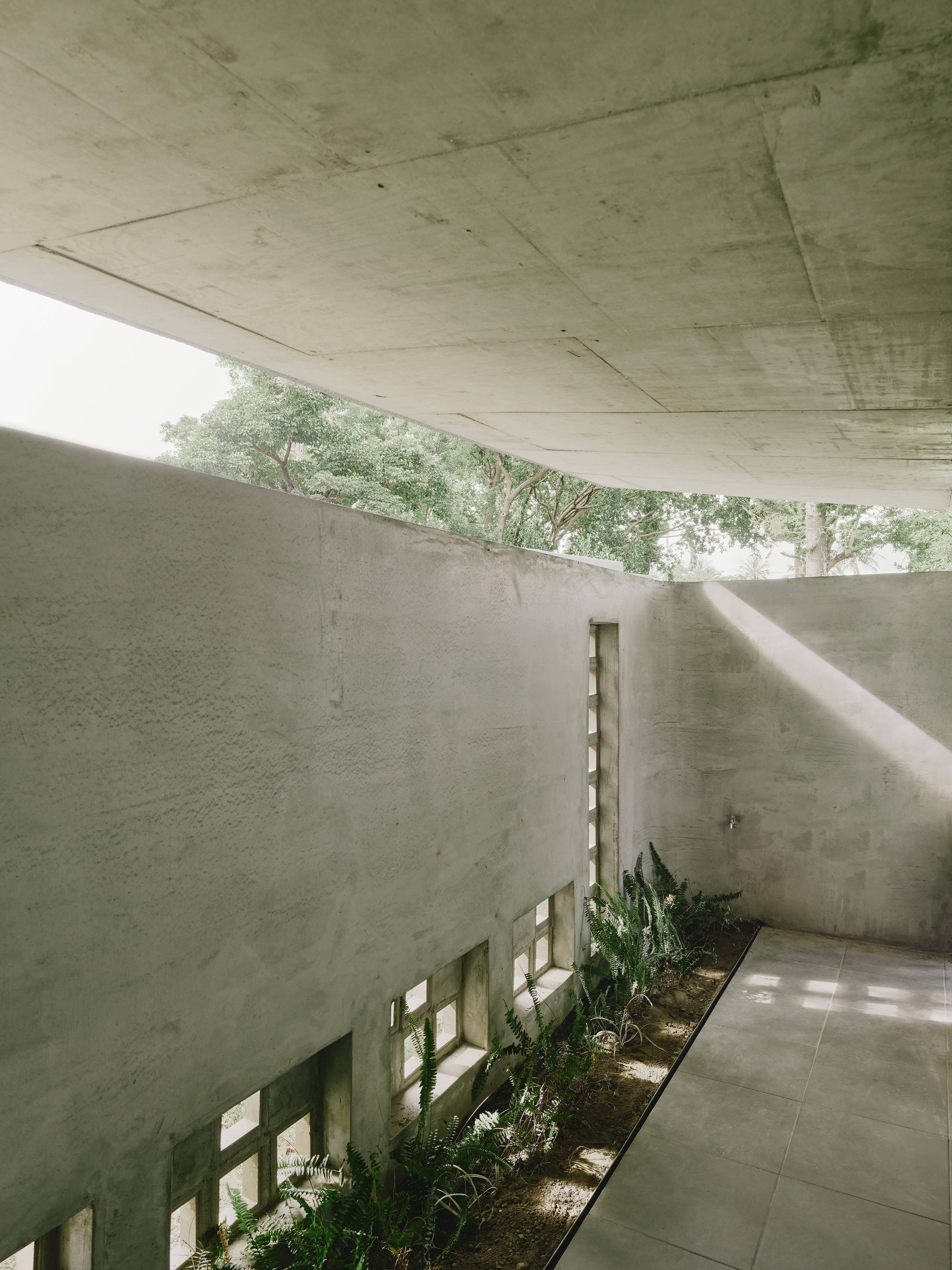 Interior courtyard with planted bed along perforated concrete wall beneath exposed ceiling slab