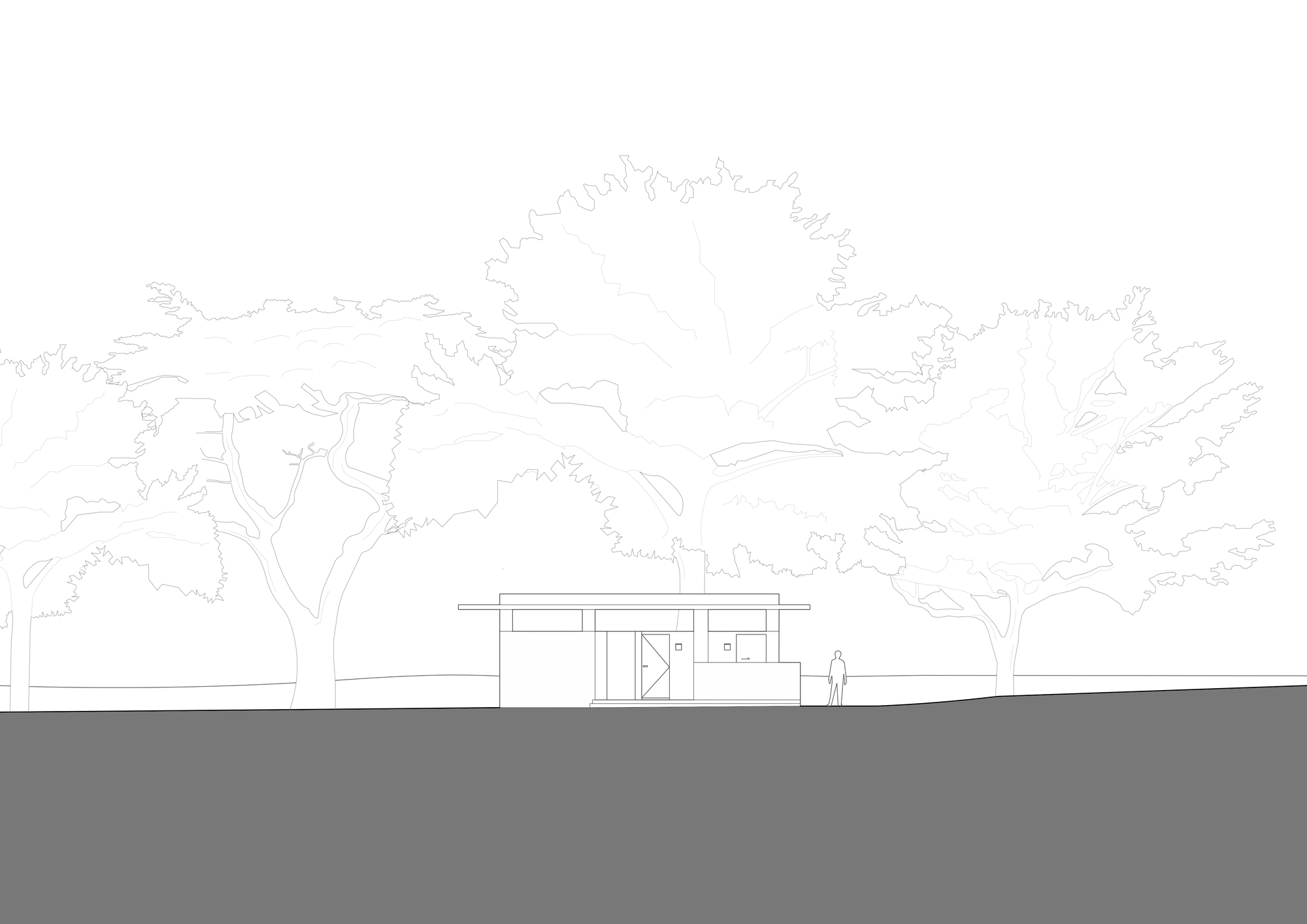 Elevation drawing showing a single-story pavilion with flat roof nestled among mature trees with a figure for scale