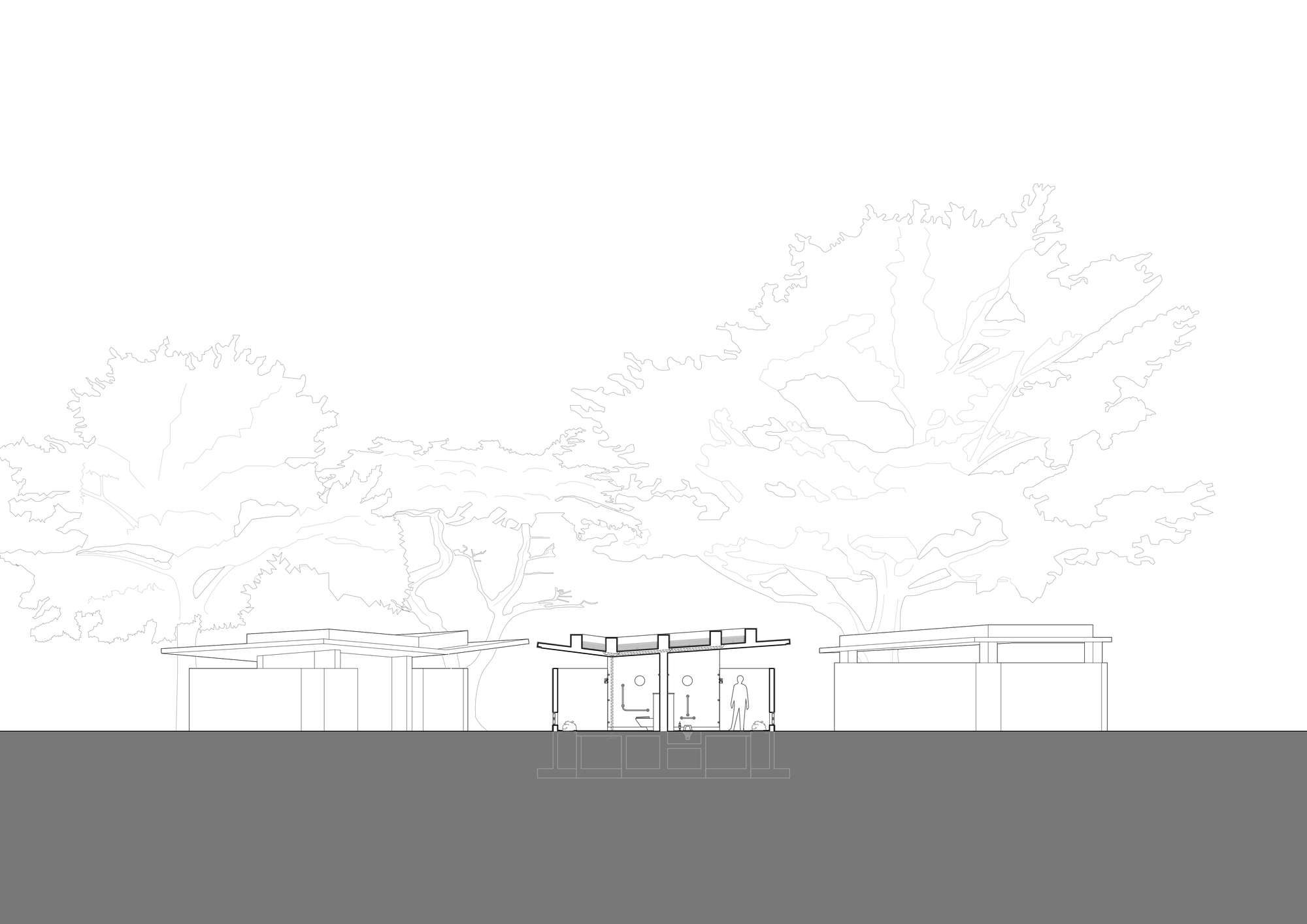 Section drawing revealing three connected volumes with exposed roof structure and landscaping with mature trees