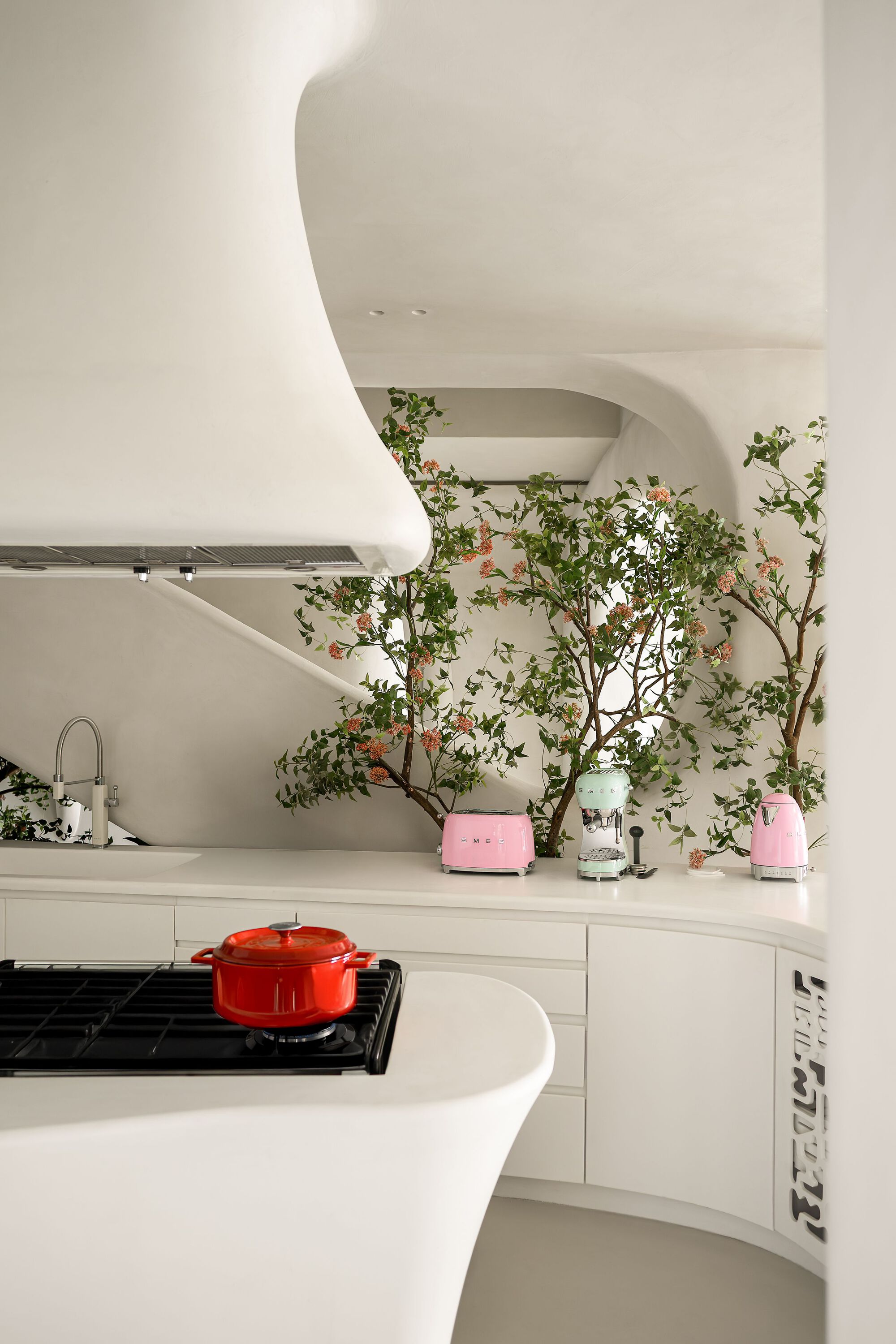 White kitchen with curved island, gas cooktop, and espaliered fruit trees growing along the wall
