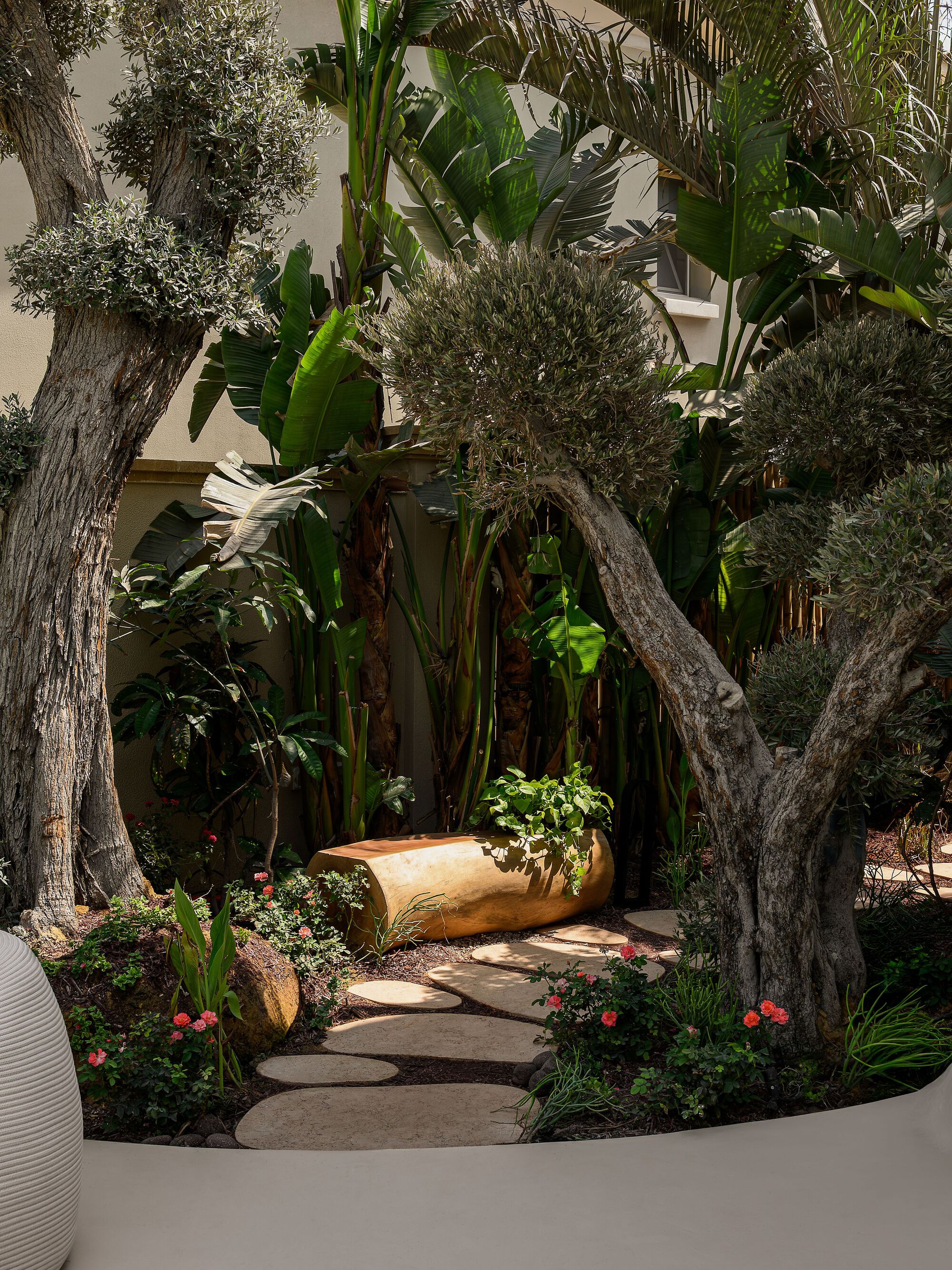 Stepping stone pathway winding through planted garden beds with olive trees and banana palms
