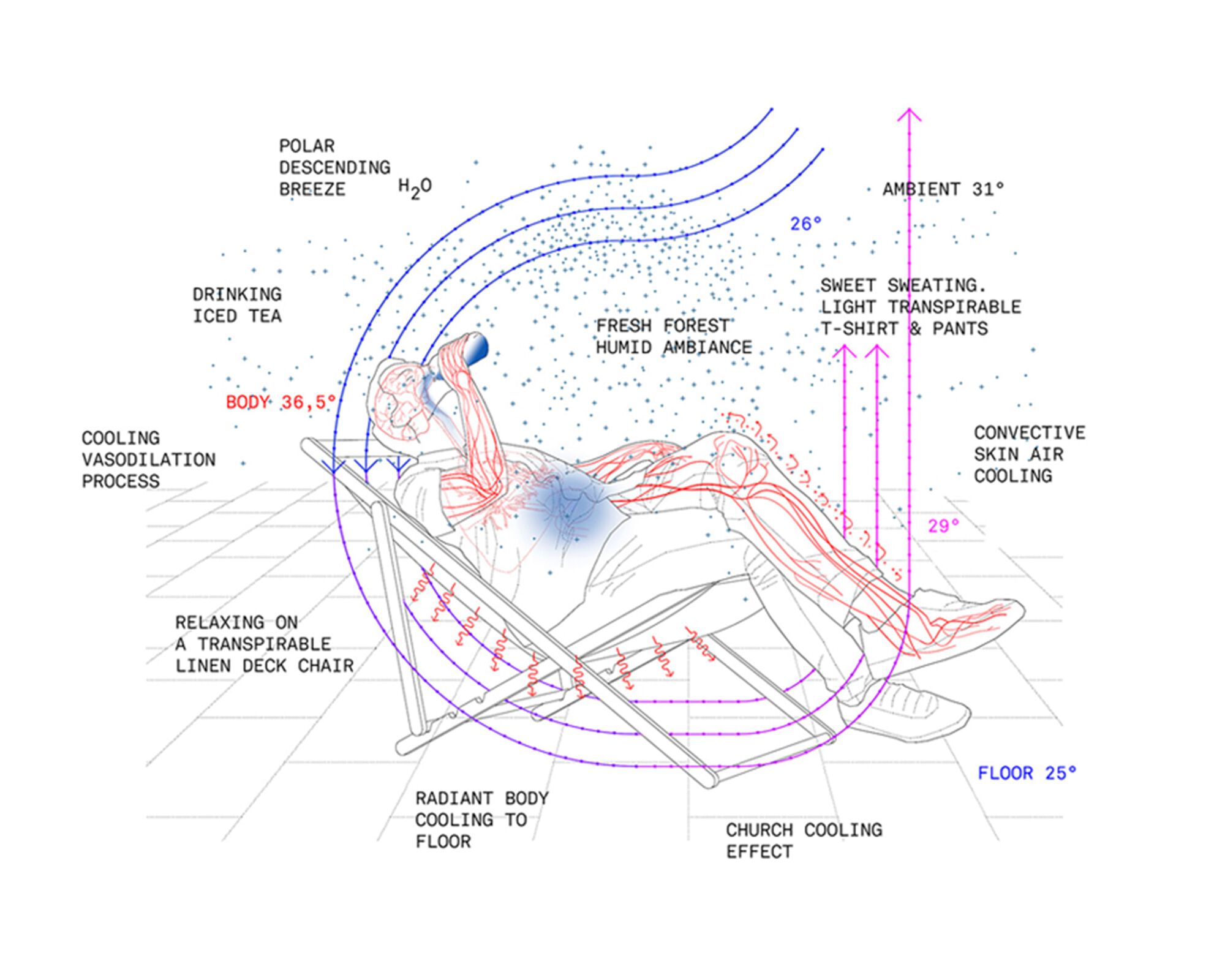 Diagram of a reclining figure showing passive cooling processes and temperature zones on a deck chair