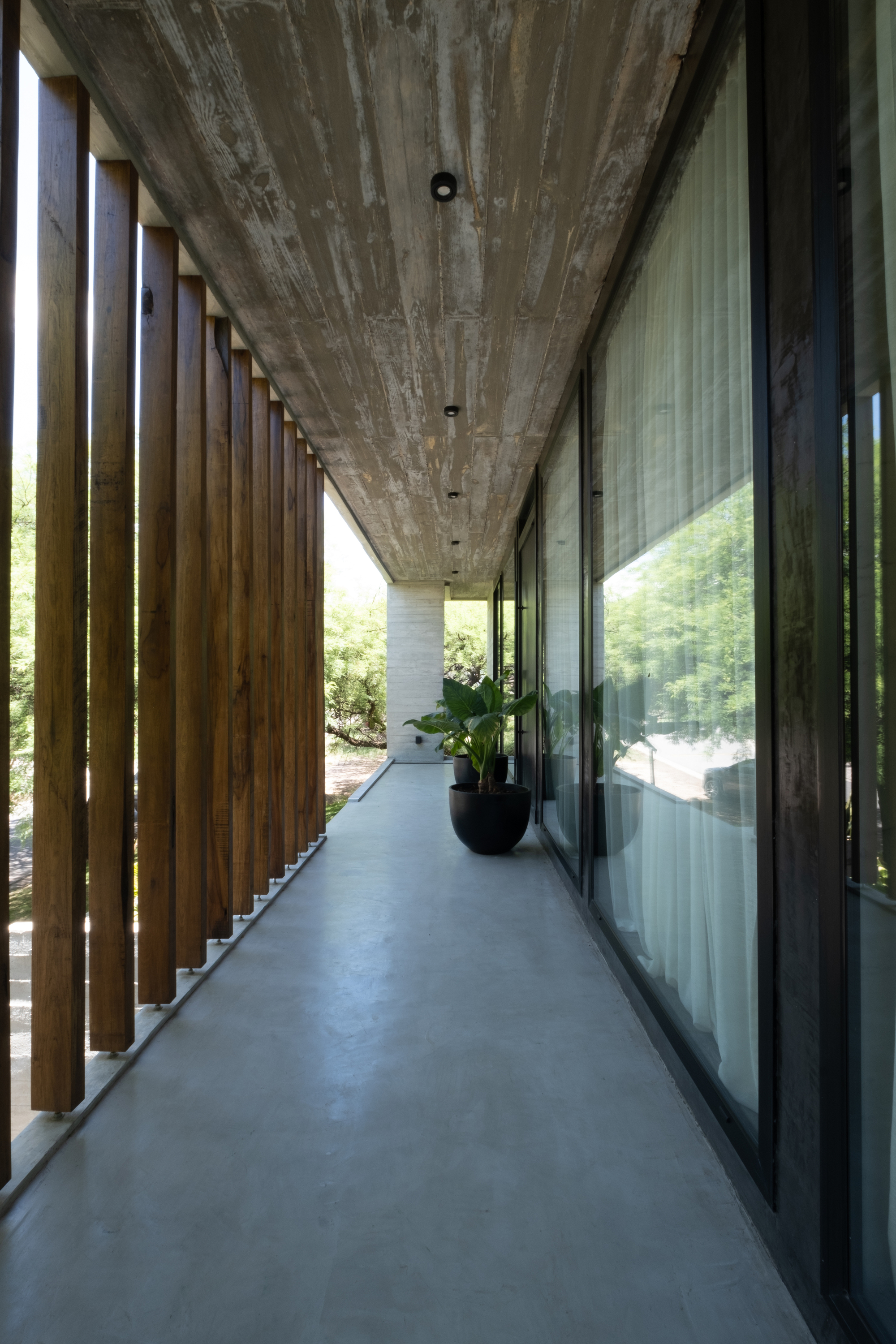 Covered entry corridor with board-formed concrete ceiling, vertical timber screen and planted threshold pot
