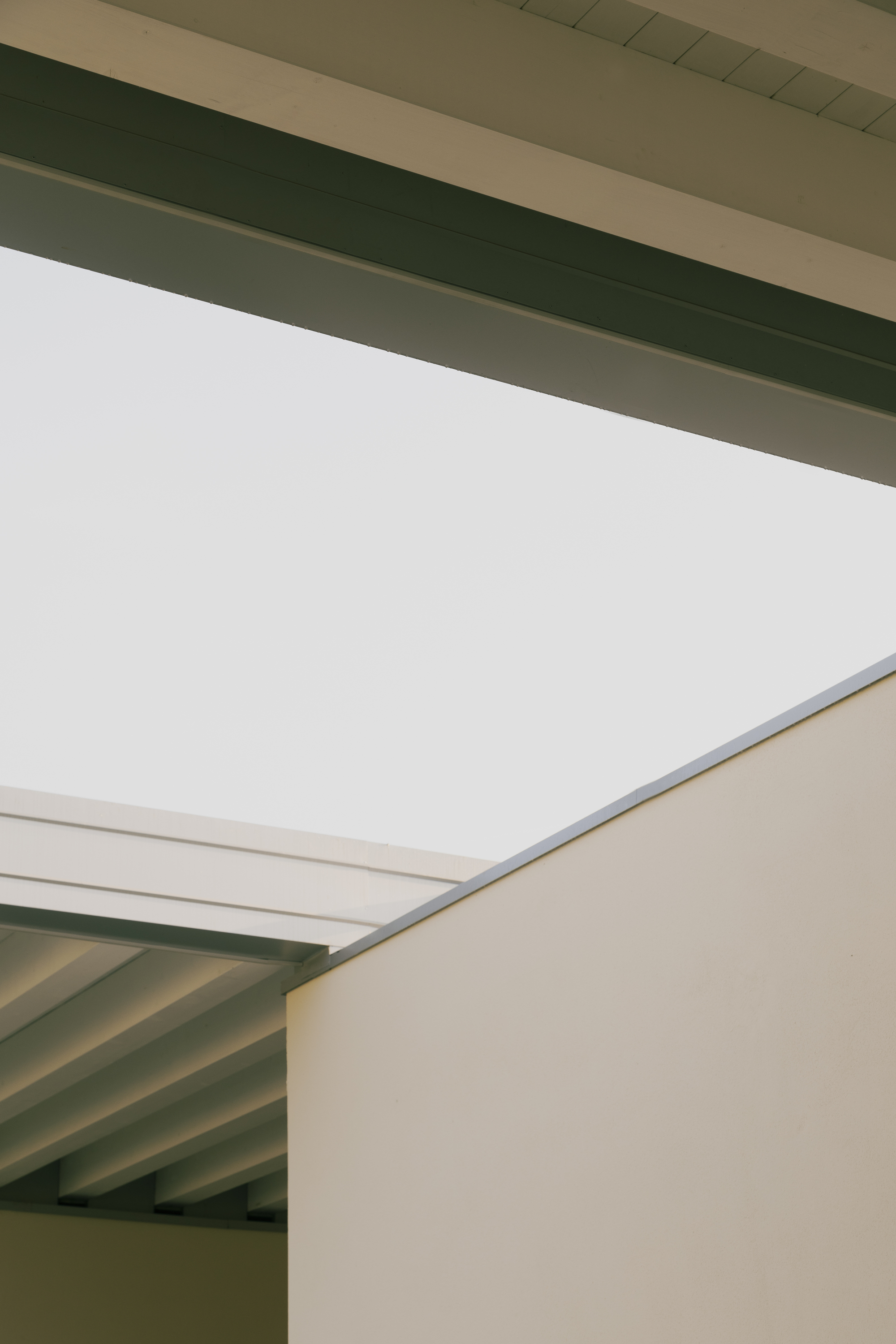 Interior detail of exposed ceiling joists and beams with recessed white panel between olive-painted structural members