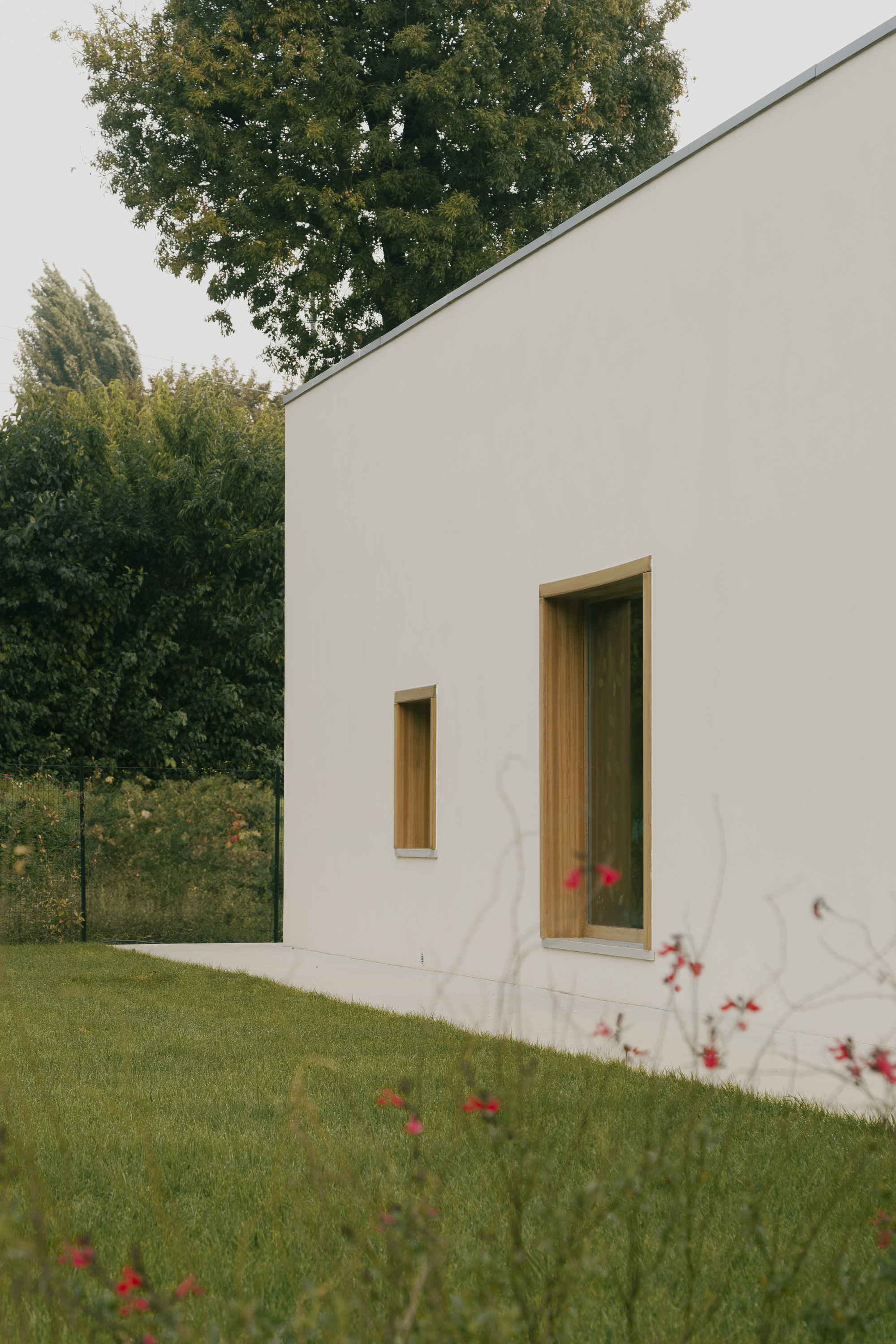 White rendered facade with timber-framed door and narrow window against green lawn with red wildflowers
