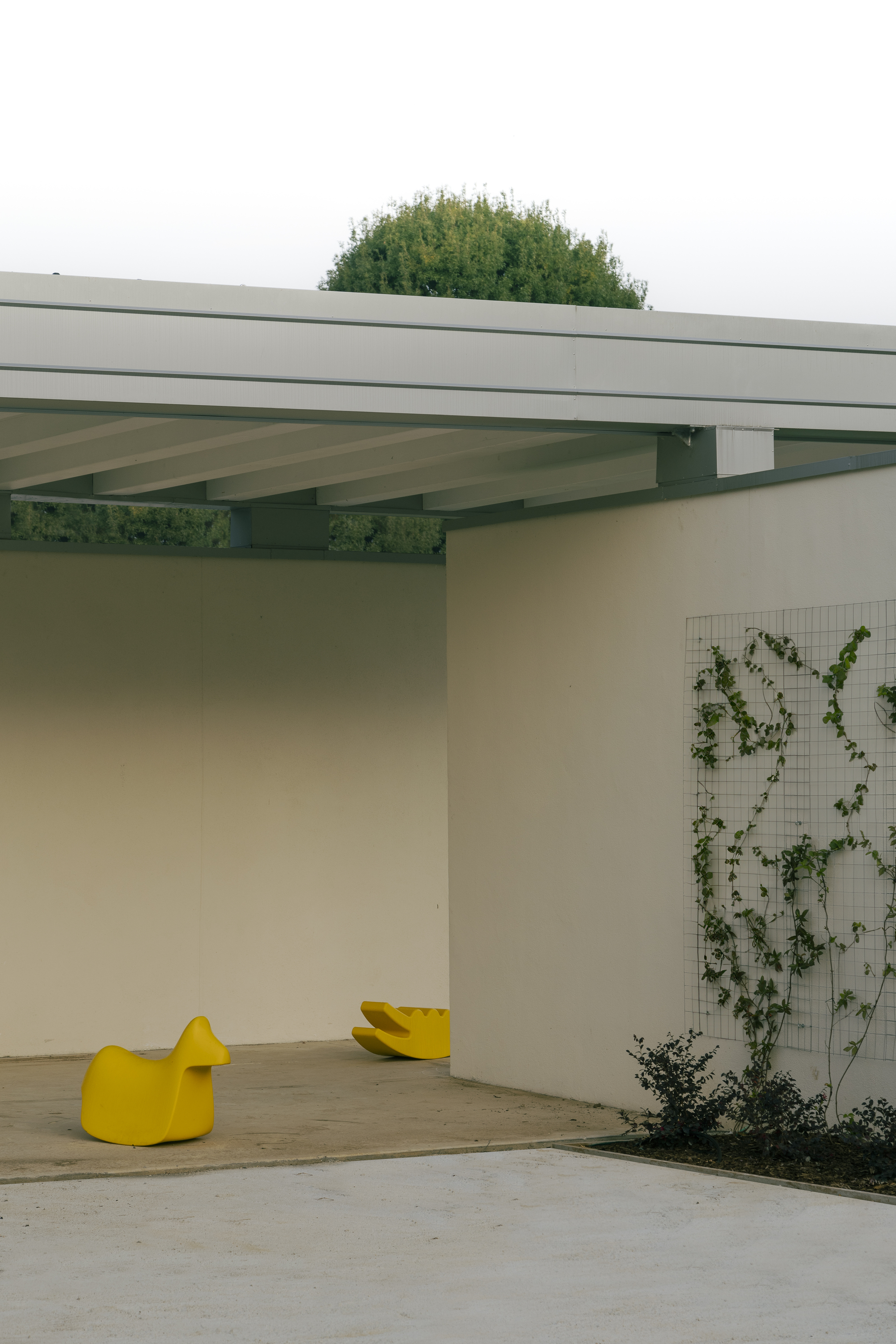 Covered patio with exposed ceiling joists, yellow seating, and climbing vines on wire mesh trellis
