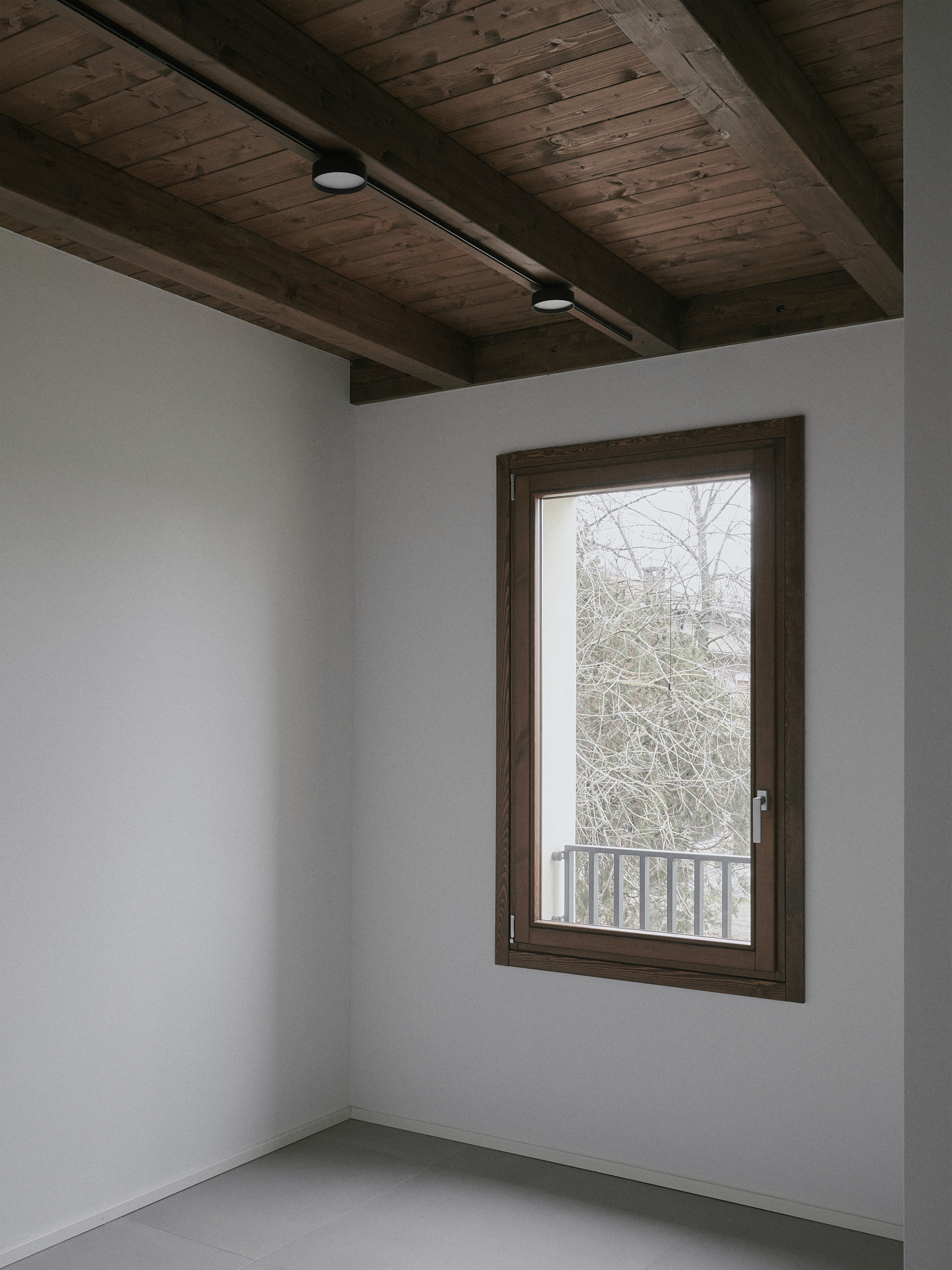 Timber-framed window overlooking bare winter trees with track lighting on the wood ceiling above