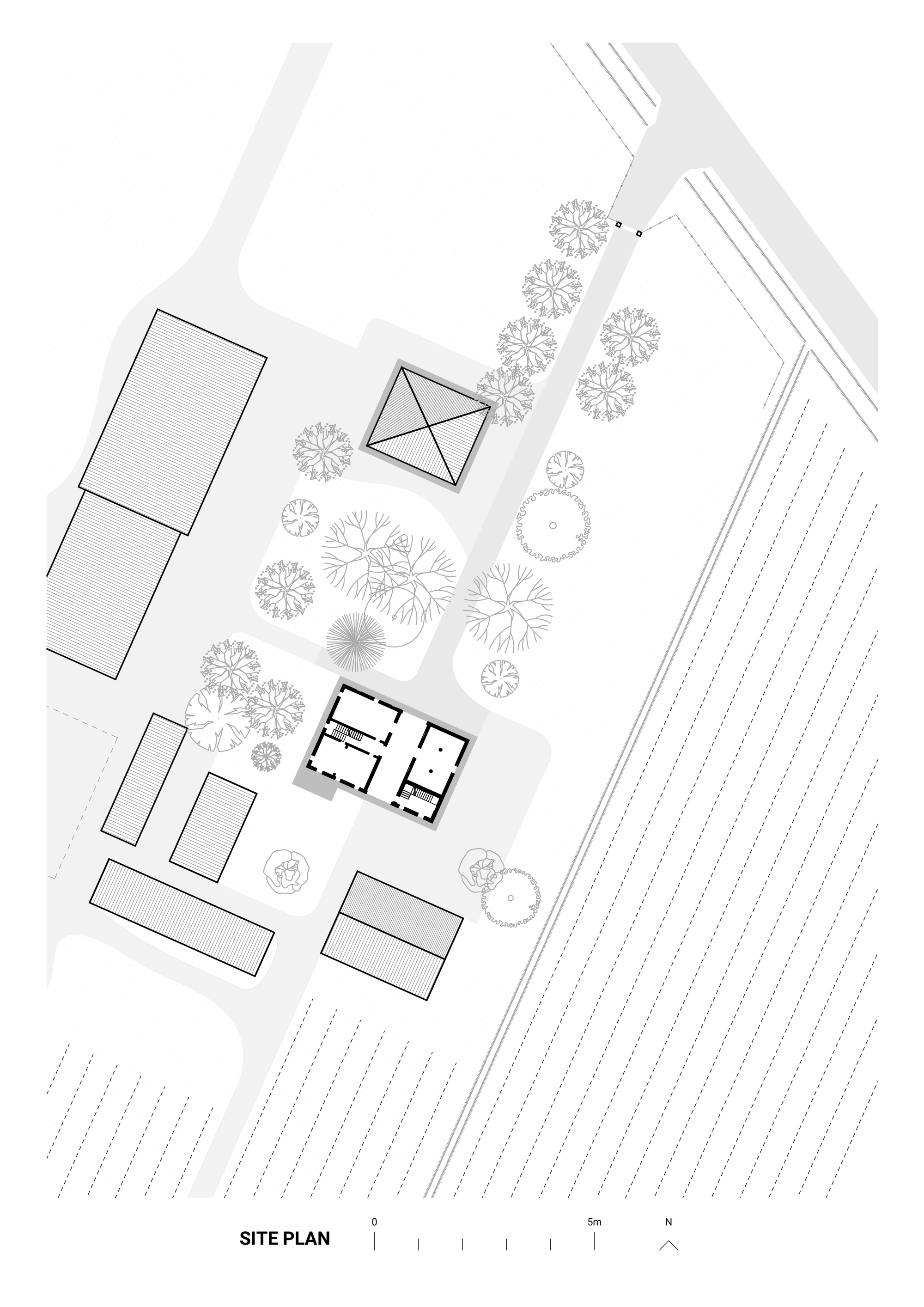 Site plan drawing depicting buildings, scattered trees and linear agricultural field patterns