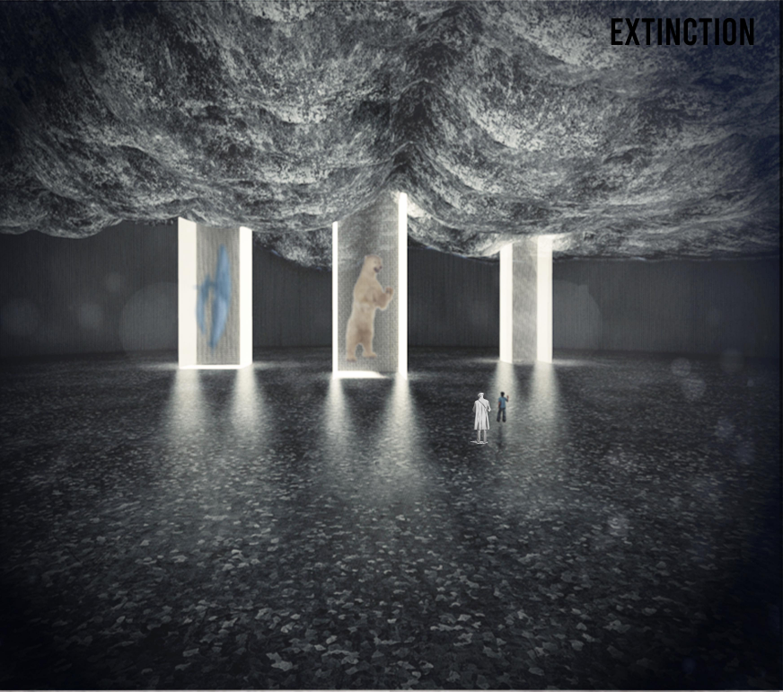 Encased memories of vanished species stand as silent witnesses to humanity’s ecological failures.
