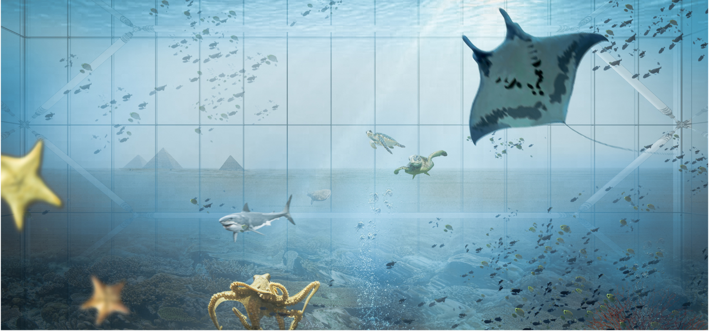 The marine layer immerses visitors in underwater life, revealing biodiversity preserved within an artificial biosphere.