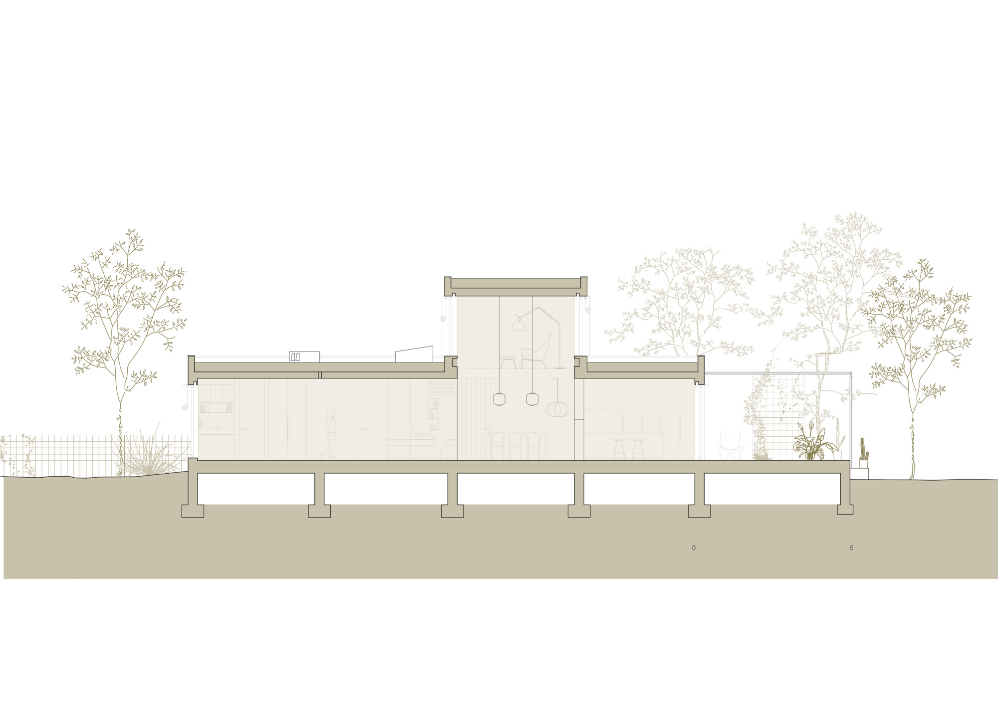Section drawing illustrating the elevated volumes on columns with trees and ground plane below