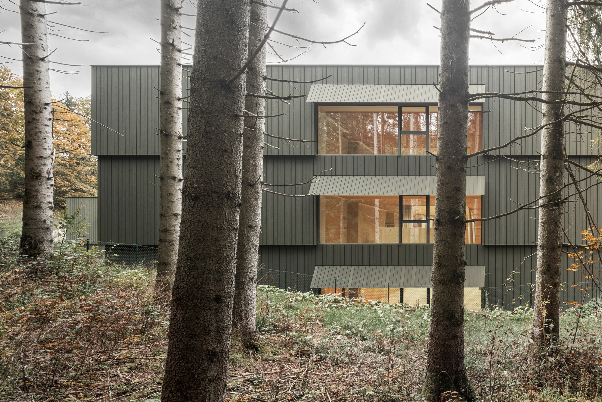 Ribbed metal exterior wall with recessed timber-framed windows seen through bare birch trunks in autumn