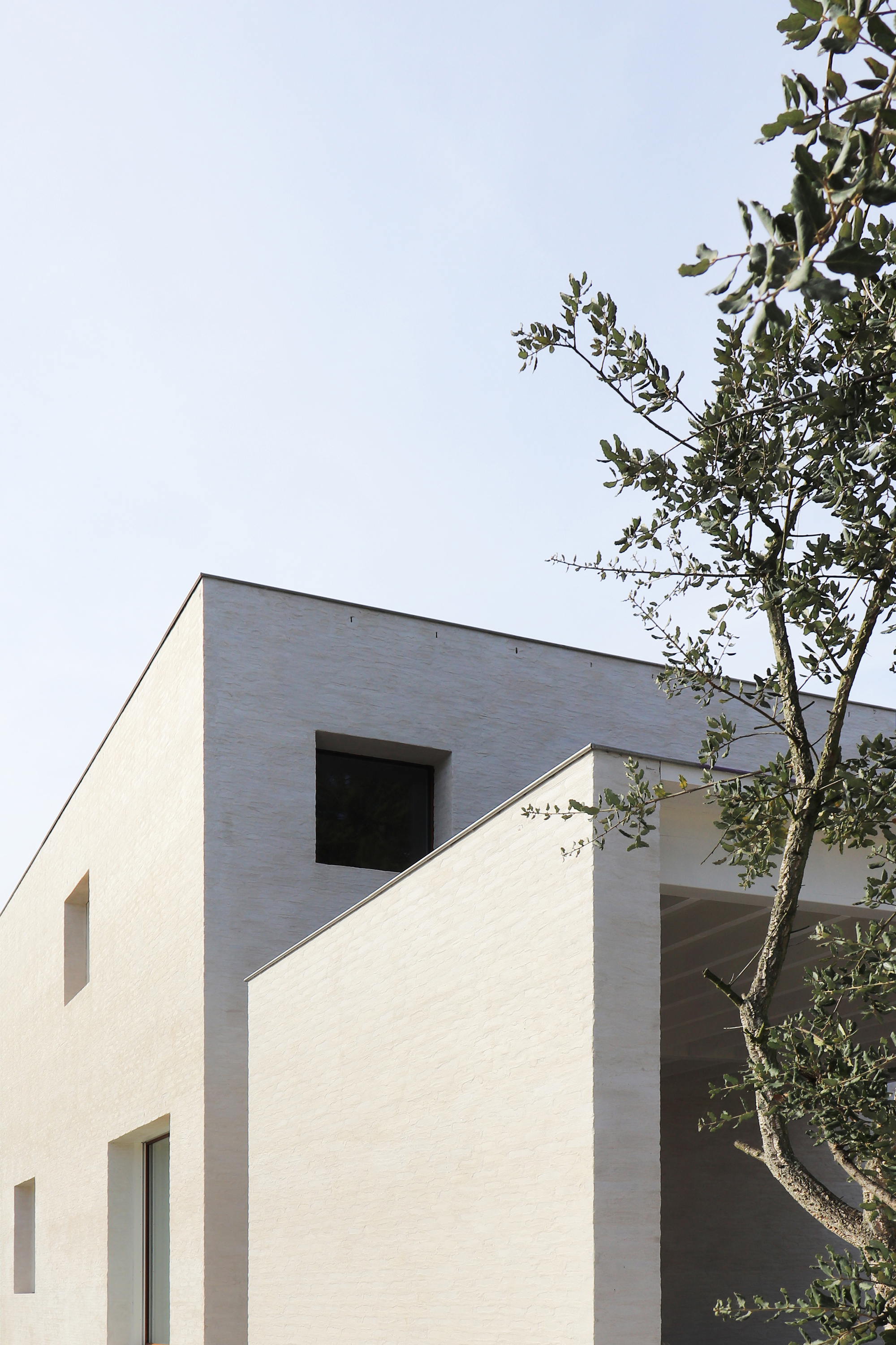 Stacked white plaster volumes with punched window openings beside an olive tree
