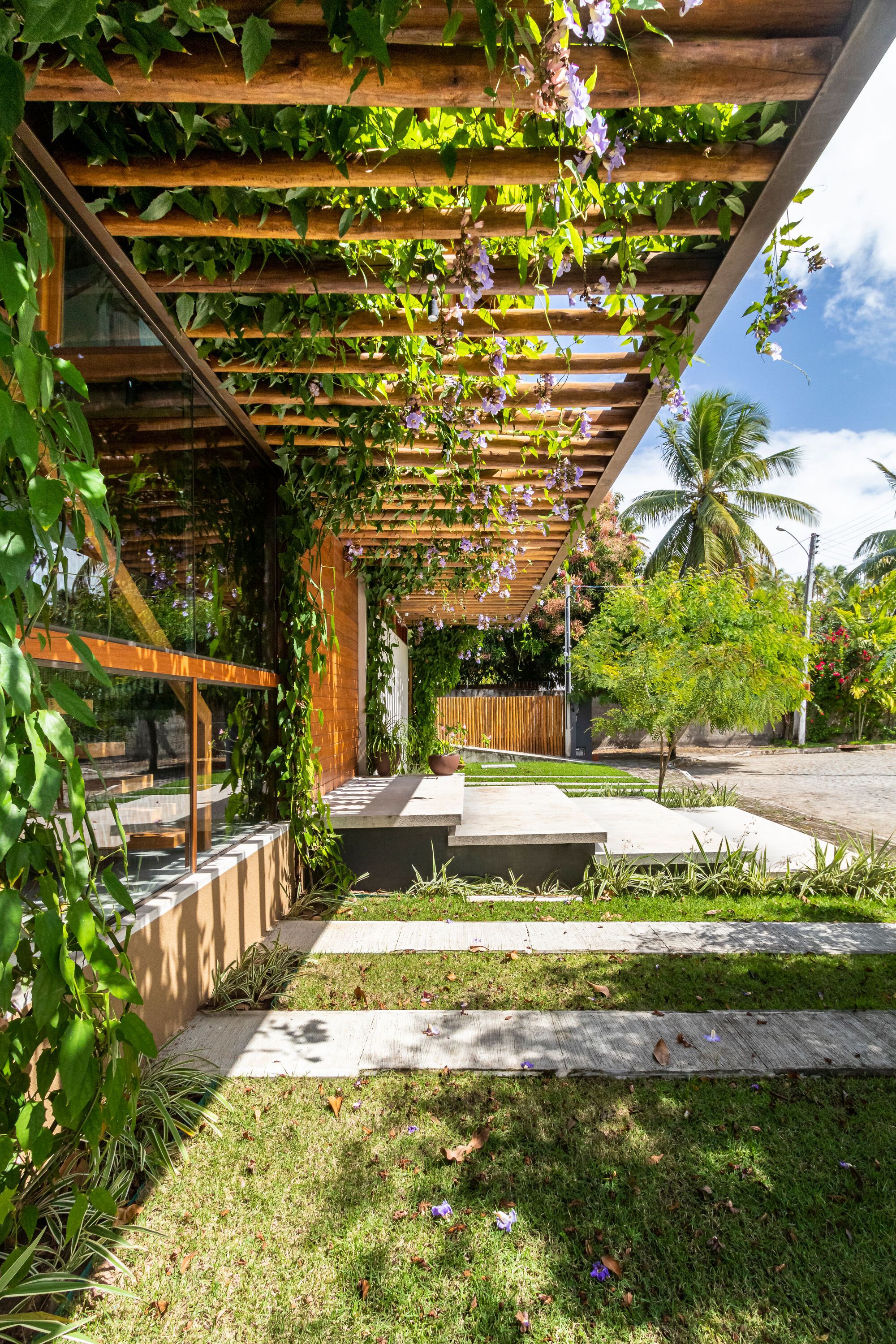 Timber pergola draped with flowering vines shading the entry path and planted beds below