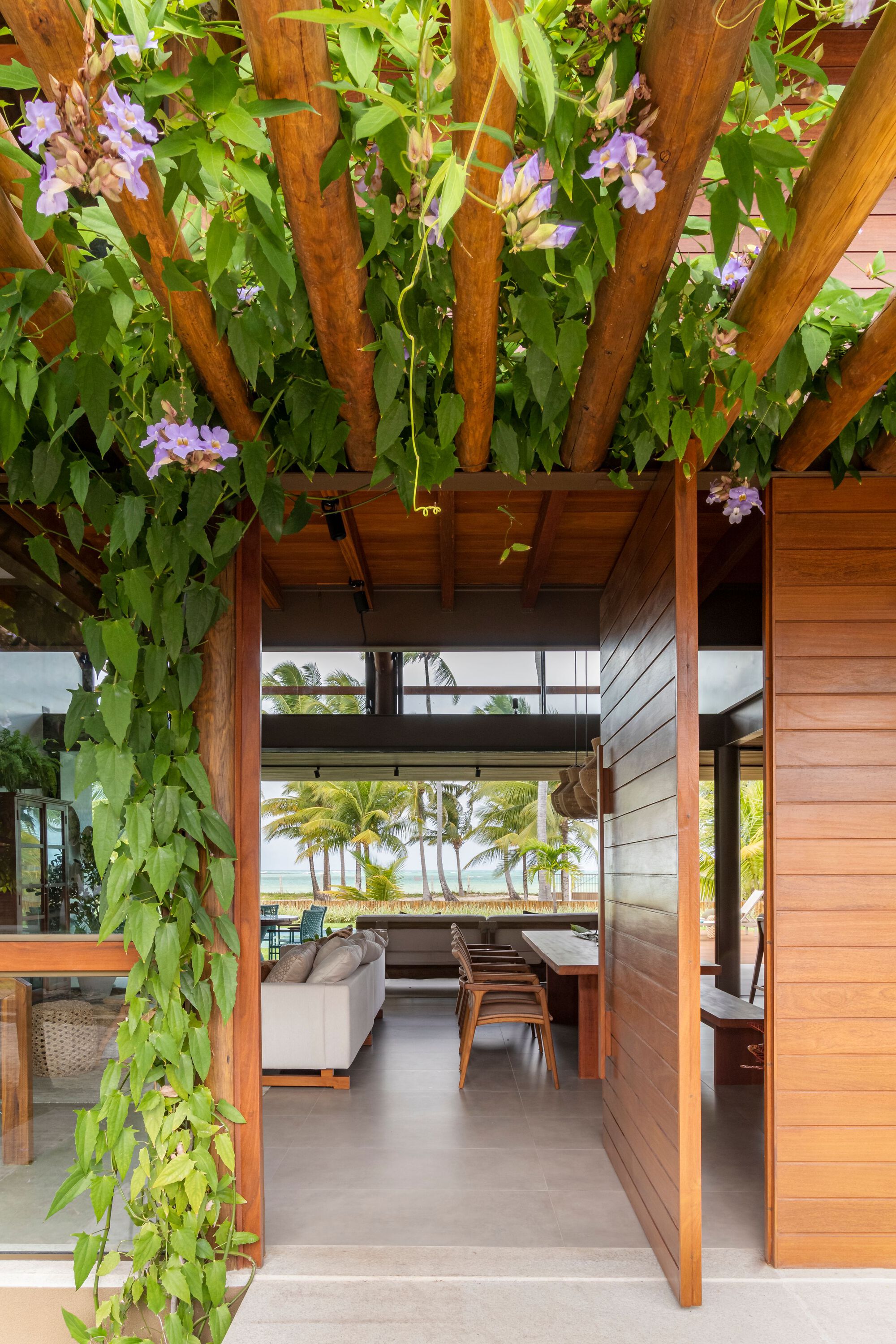 View through the planted timber pergola into living room with polished concrete floor and horizontal cladding