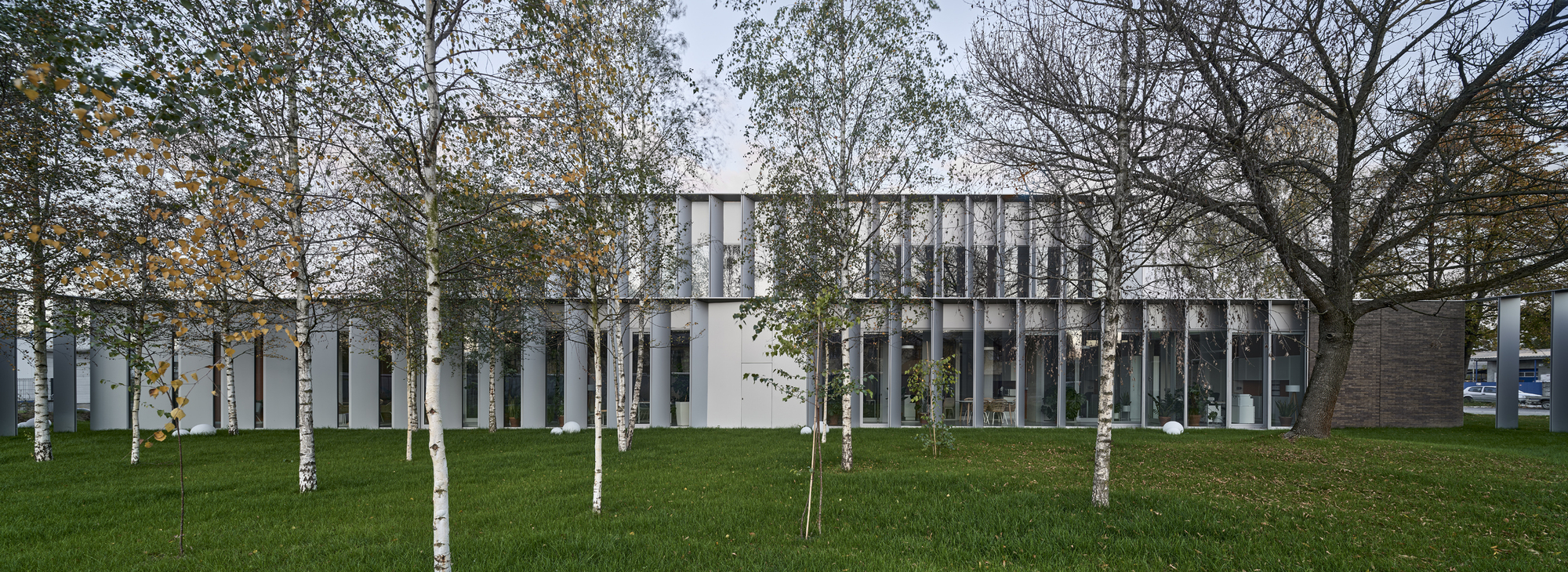 White colonnade with tall vertical slats viewed through a grove of birch trees in autumn