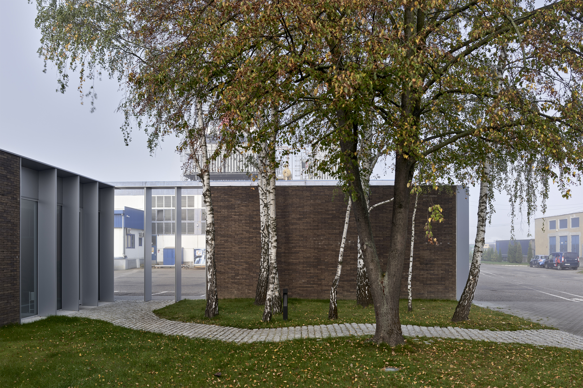Brick volumes framed by birch tree trunks with falling autumn leaves on the lawn