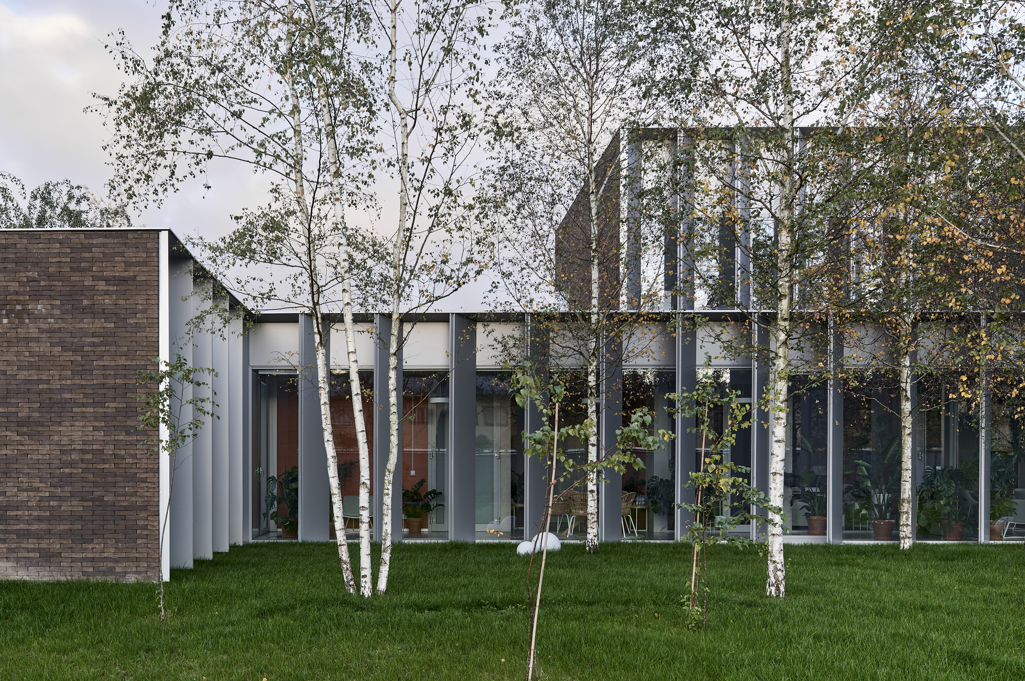 Glazed corridor with vertical metal fins behind a row of young birch trees under overcast skies
