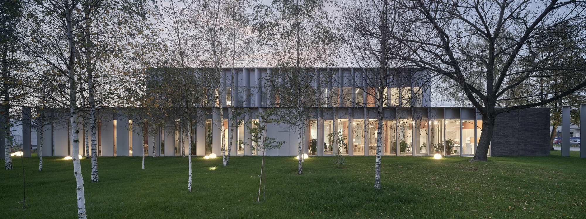 Glazed facade illuminated at dusk with birch trees in the foreground casting shadows on grass