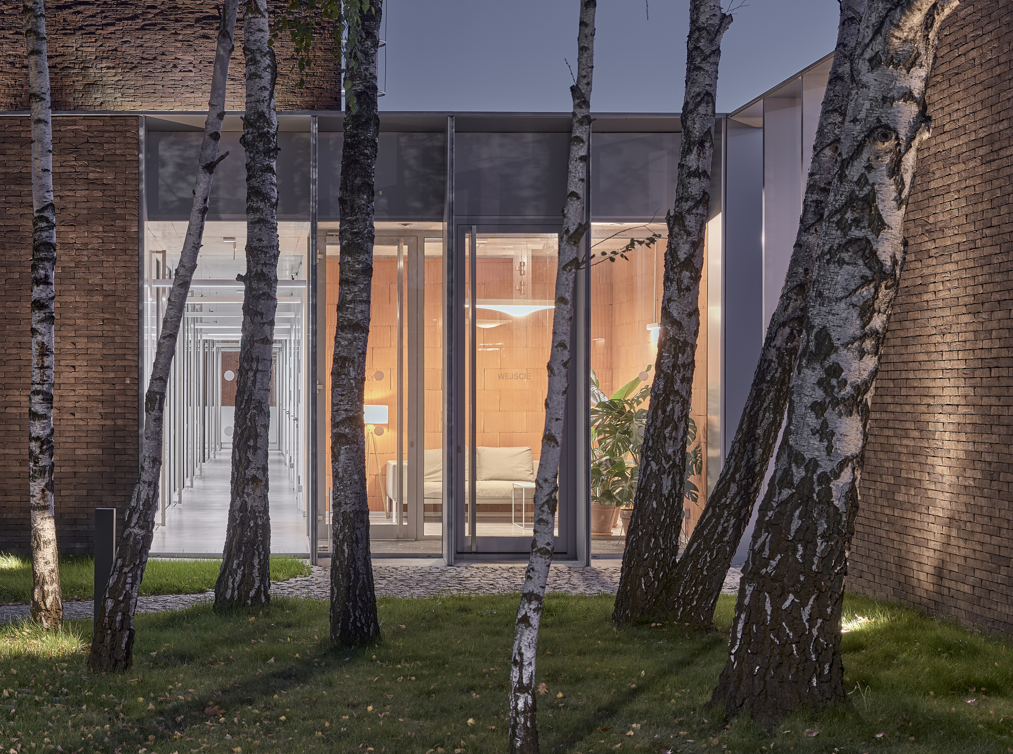 Glass corridor entrance framed by birch tree trunks with upward lighting on the lawn