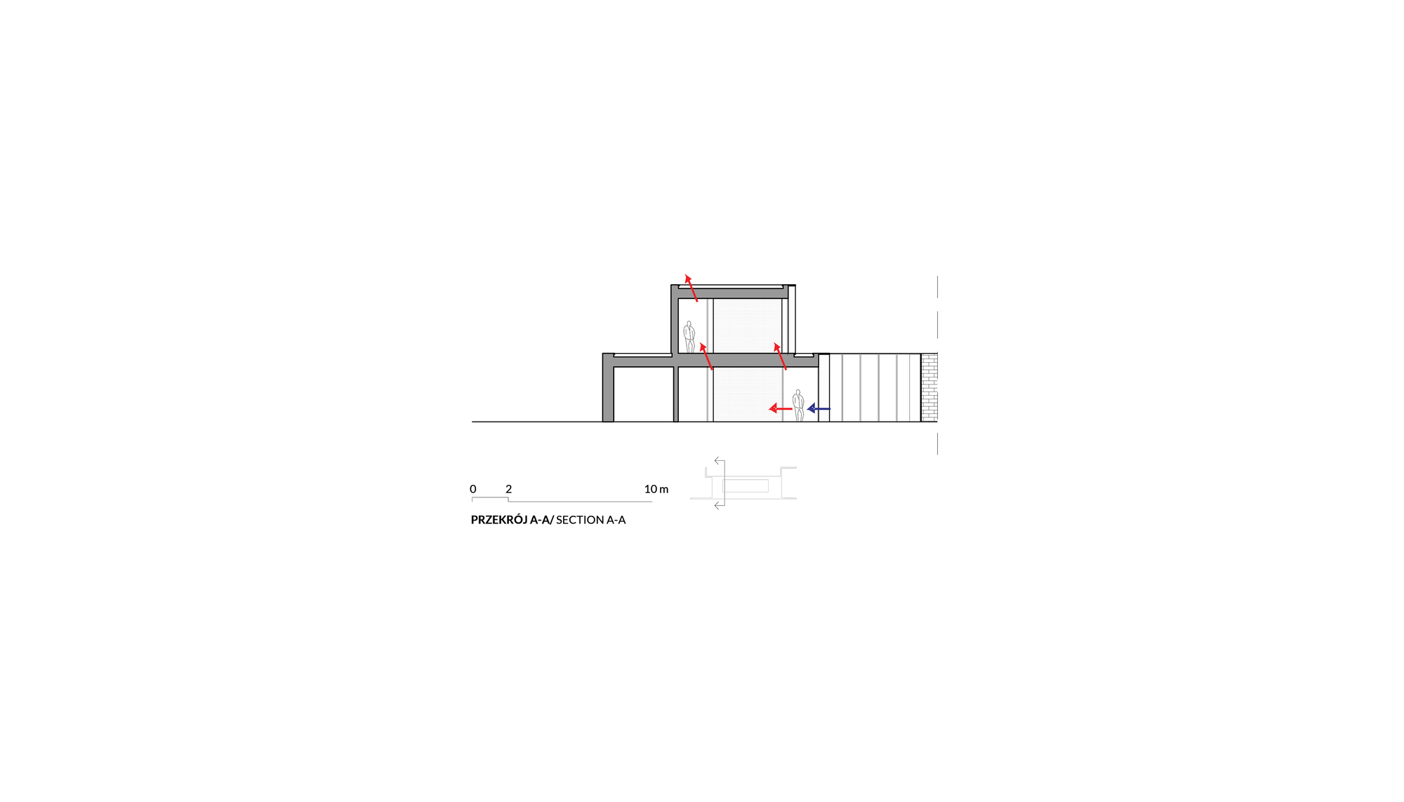 Section drawing showing split-level interior spaces with vertical slat screen on one end