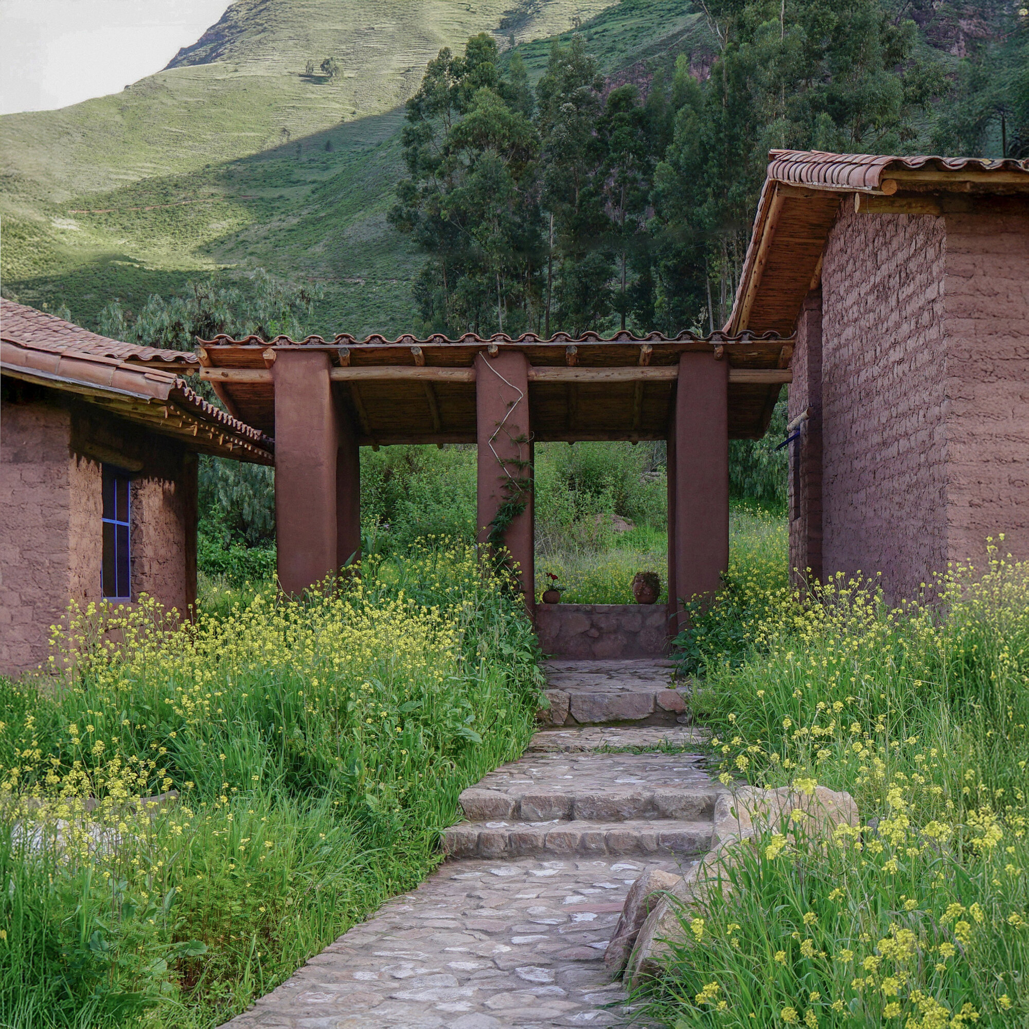Stone pathway leading through yellow wildflowers to timber pergola entry framed by hillside vegetation