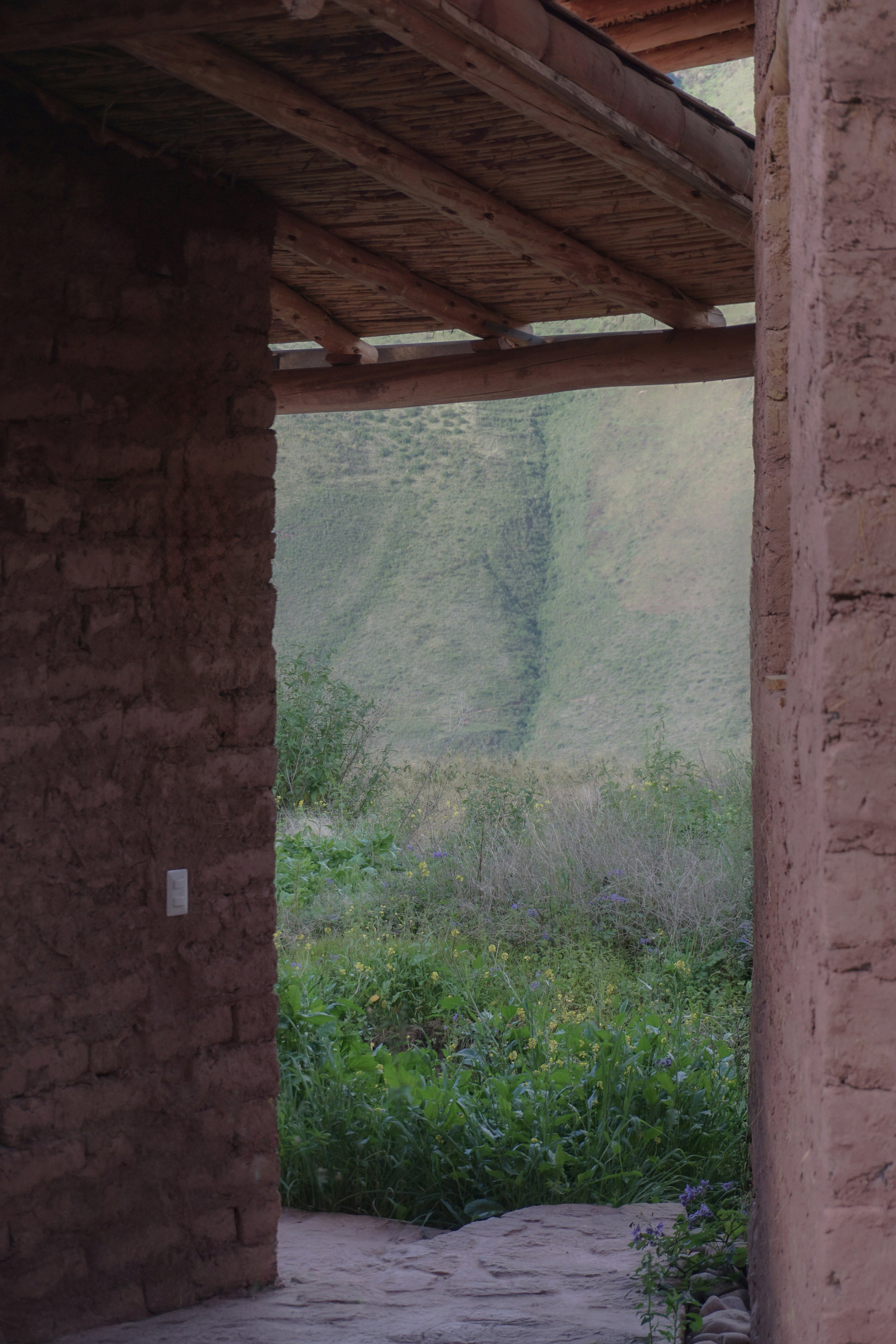 Earthen doorway with timber lintel and reed ceiling opening to an overgrown courtyard