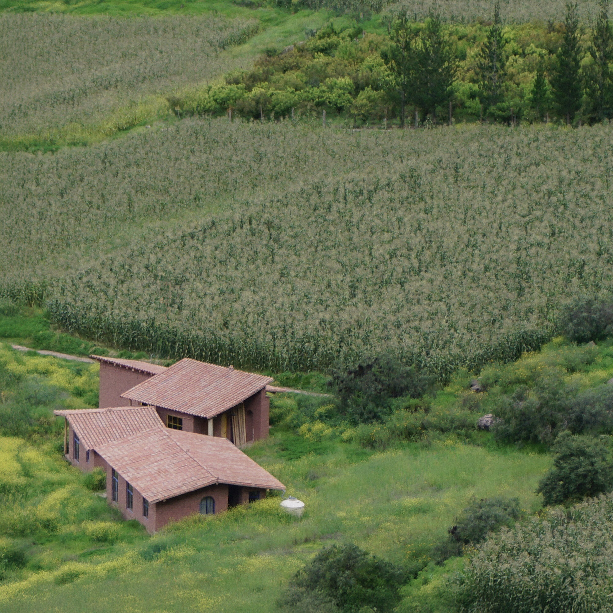 Aerial view of clustered red tile roofs amid terraced agricultural fields and green hillsides
