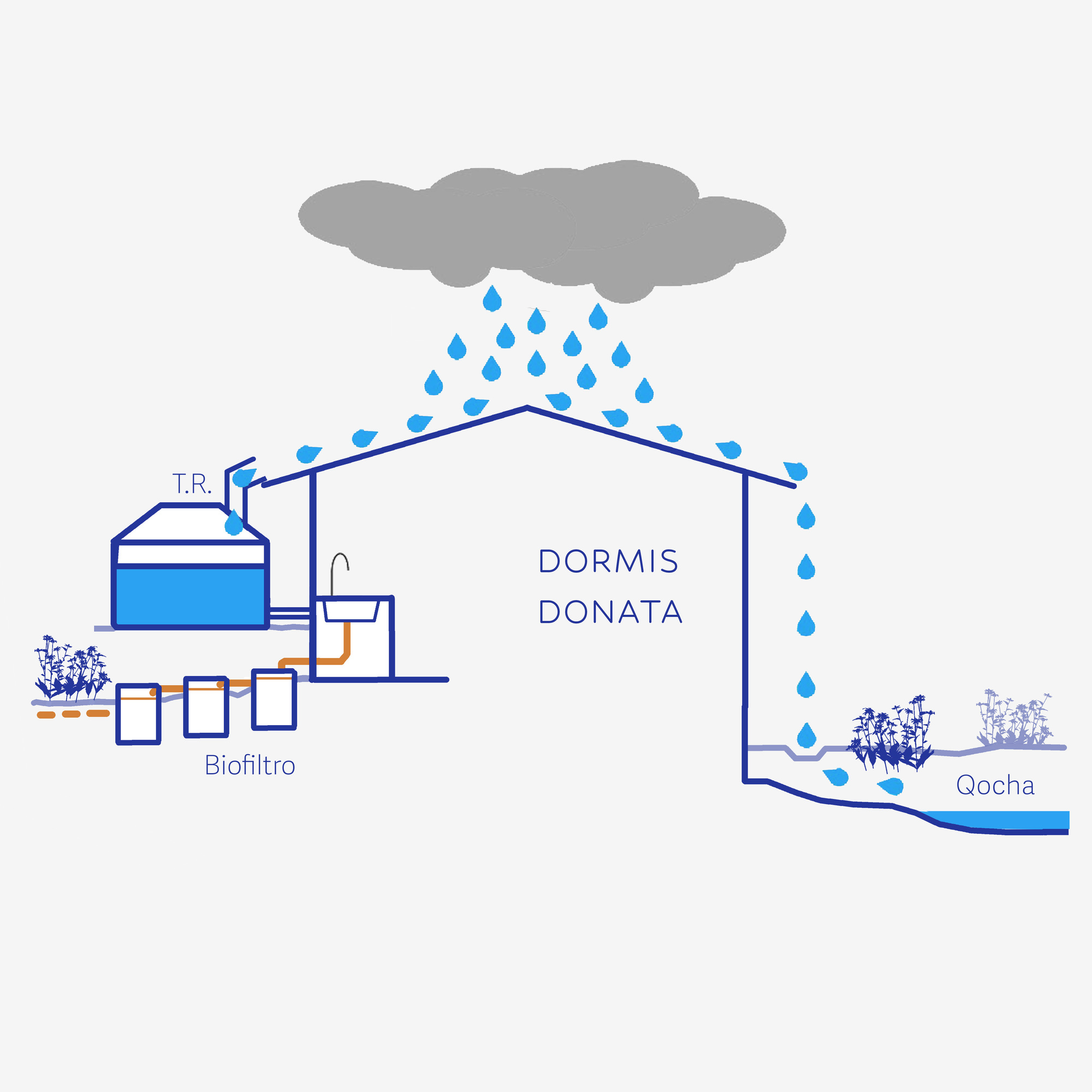 Diagram showing rainwater collection system from roof through biofilter and storage tank to pond