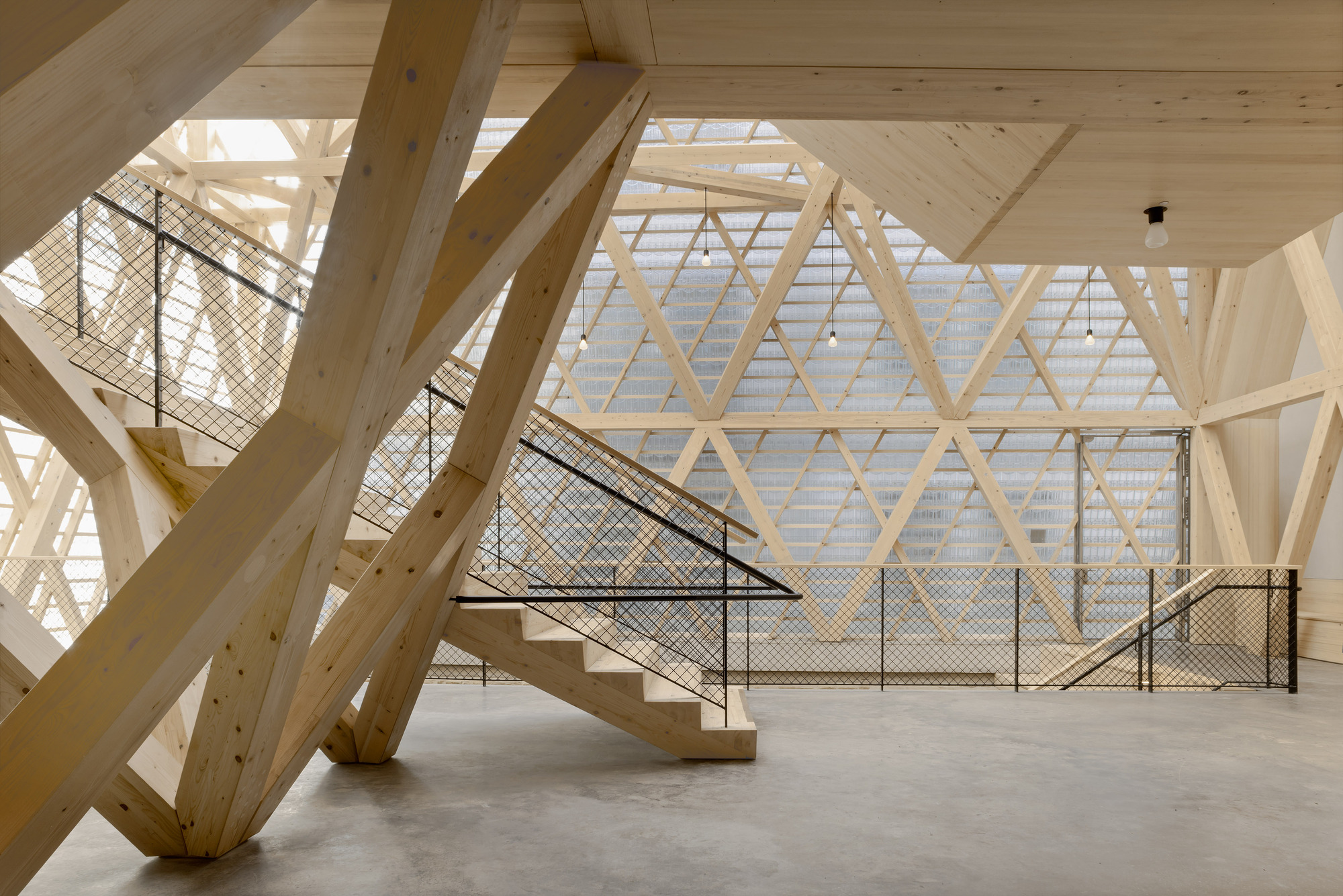 Interior atrium with diagonal timber beams and mesh-railed staircase under diffused natural light