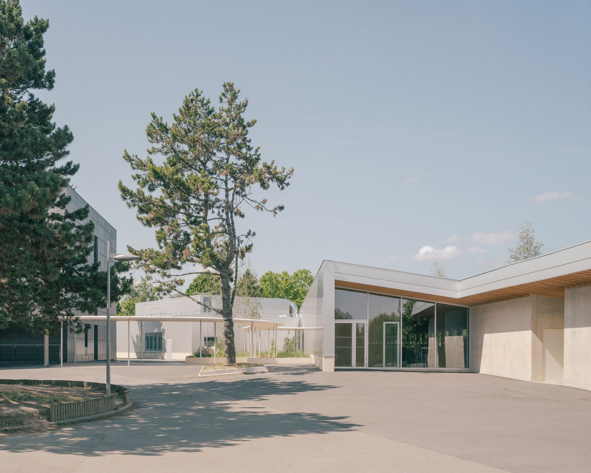 Courtyard view with glazed pavilions and preserved pine trees between low white buildings