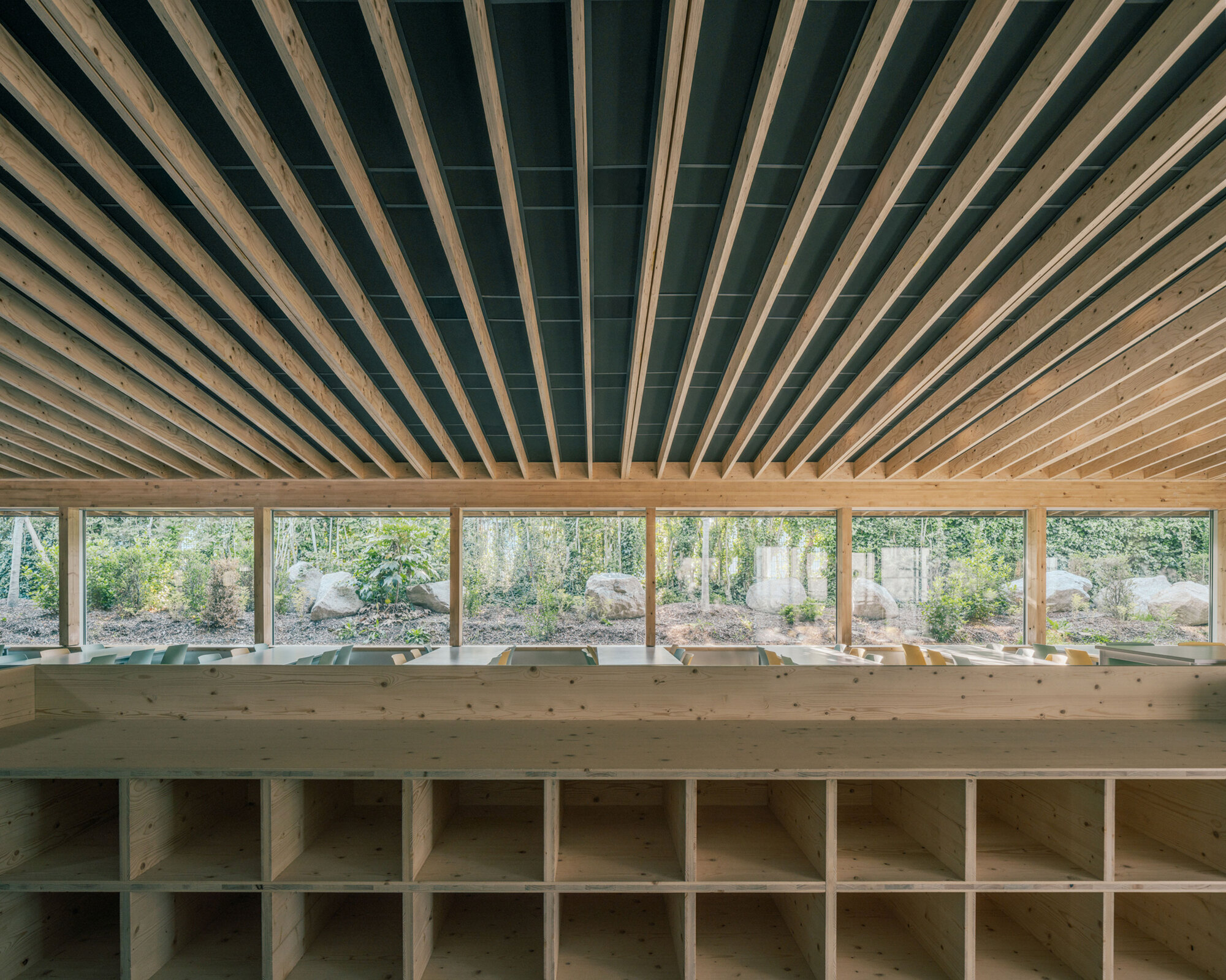 Interior view of radiating timber ceiling joists above a continuous ribbon window overlooking a planted courtyard