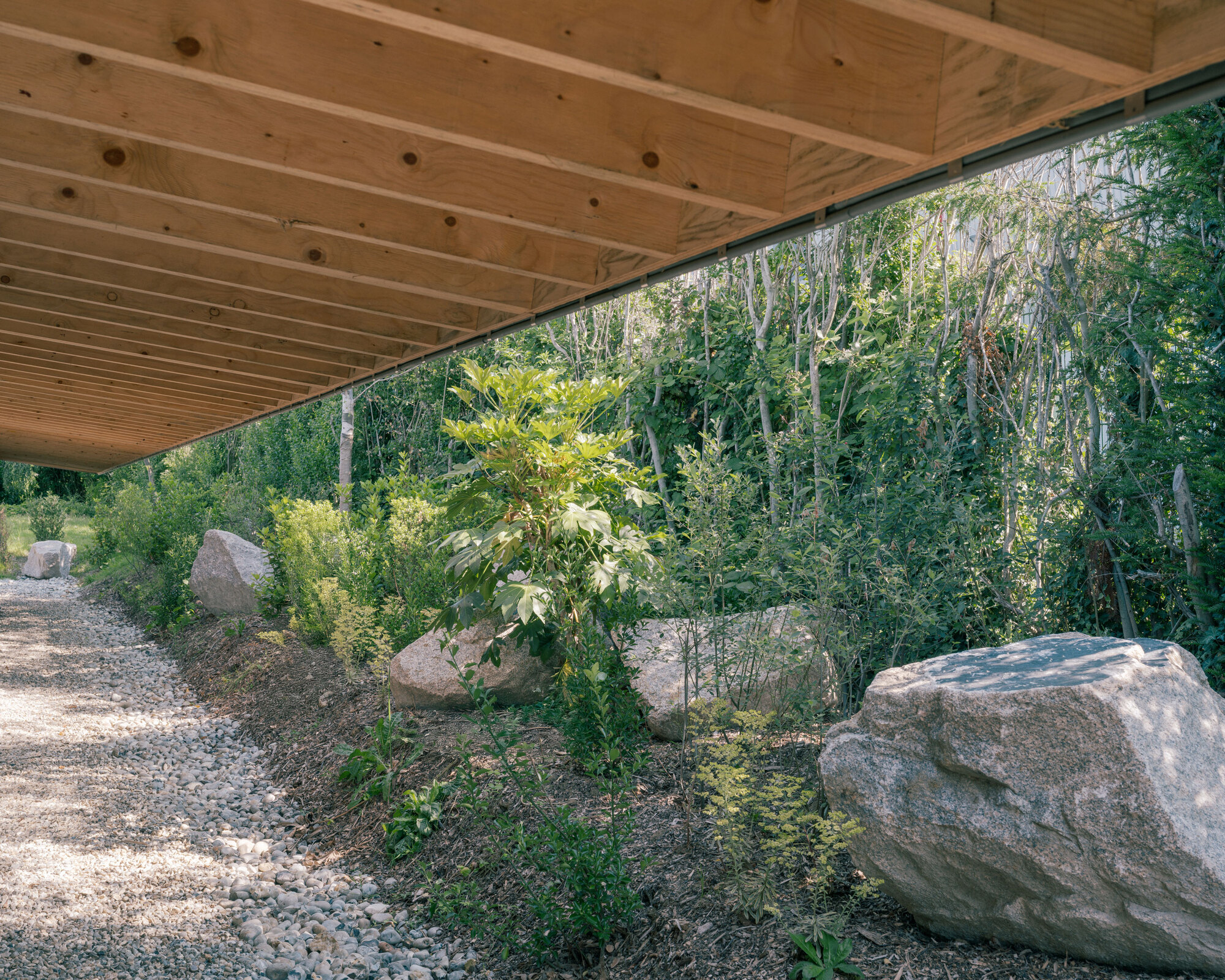 Cantilevered timber roof overhang sheltering a naturalized garden with large stones and native plantings