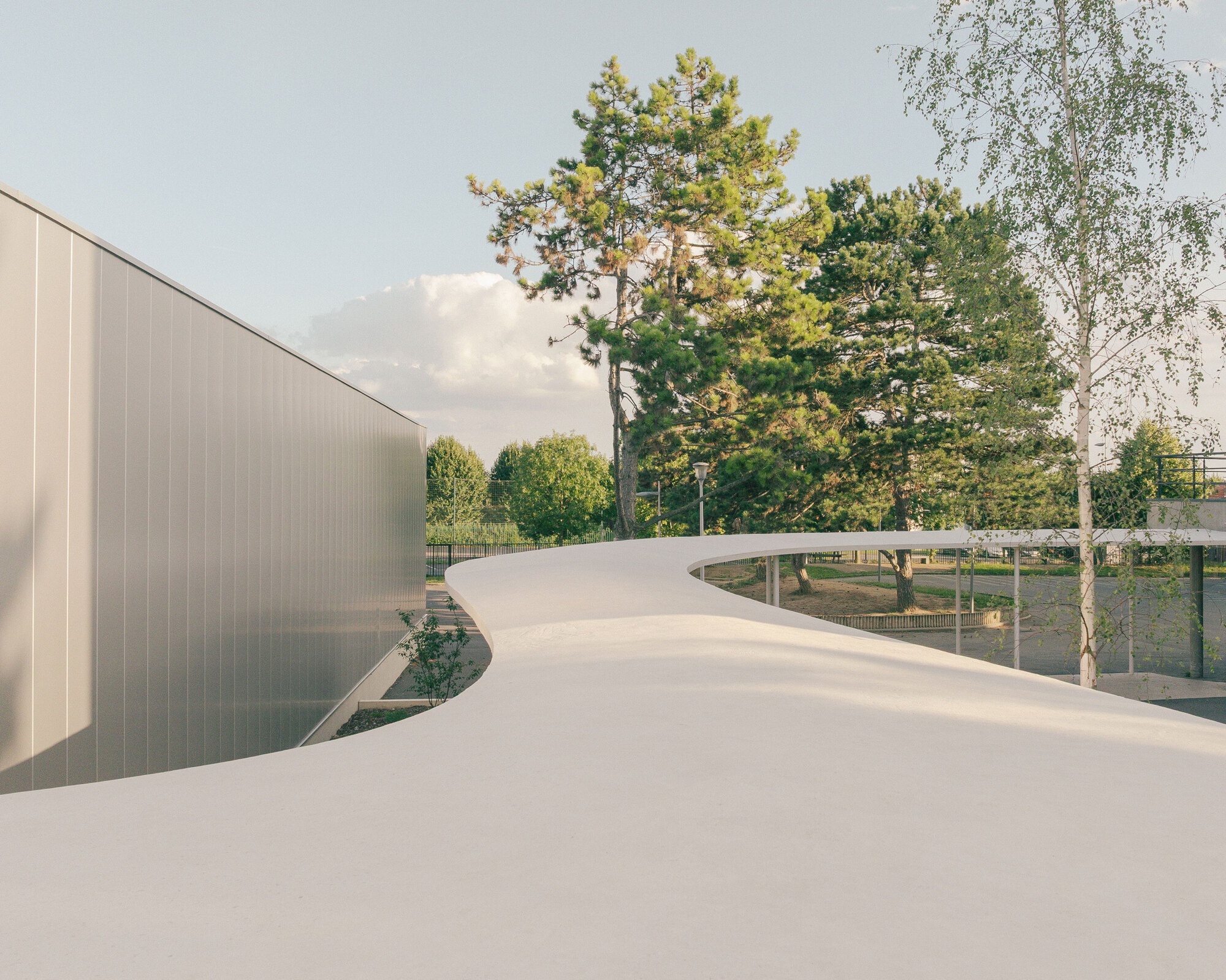 Curving white roof plane floating above translucent panels and mature trees in soft afternoon light