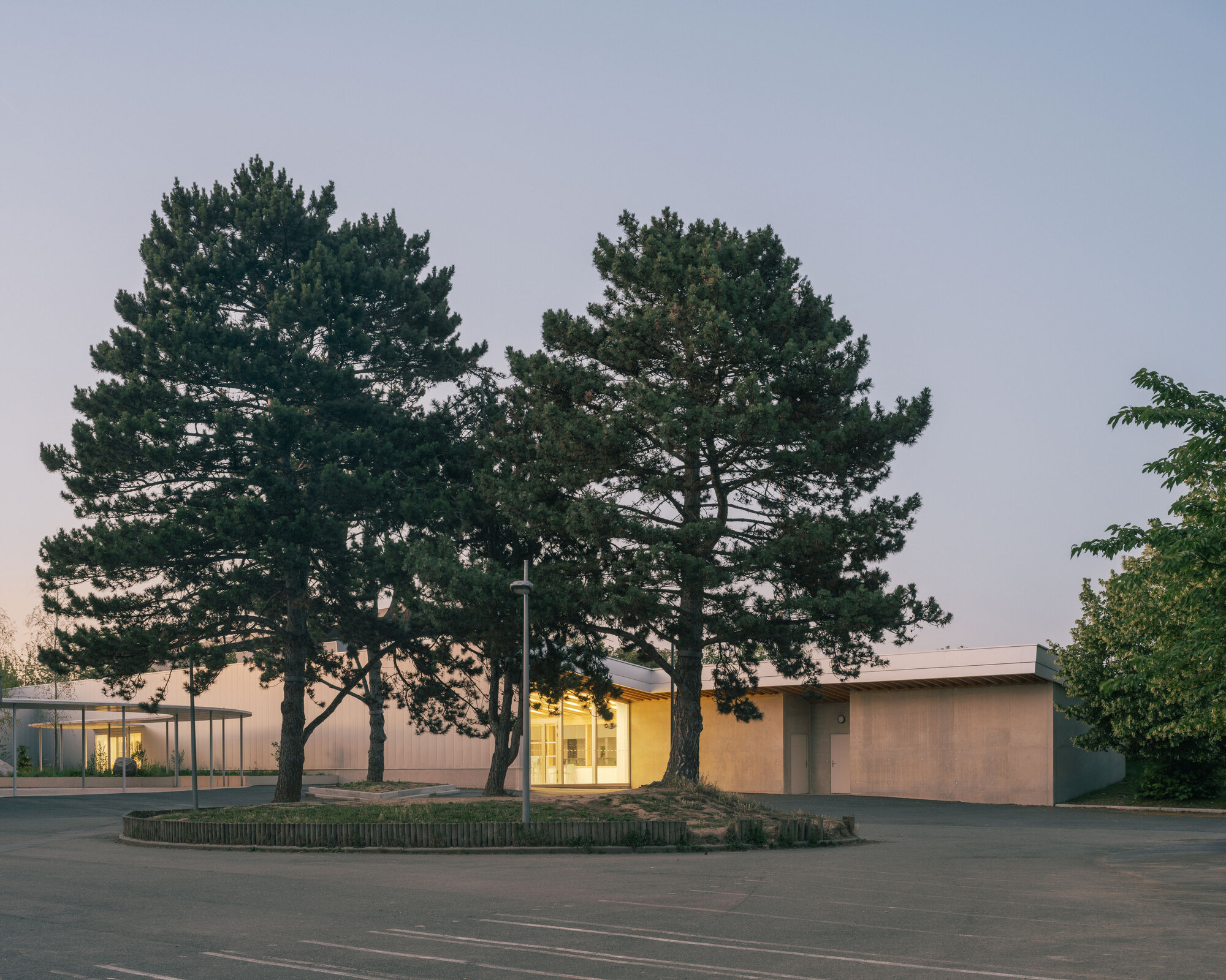 Two mature pine trees framing the low curved volume of the entrance at dusk