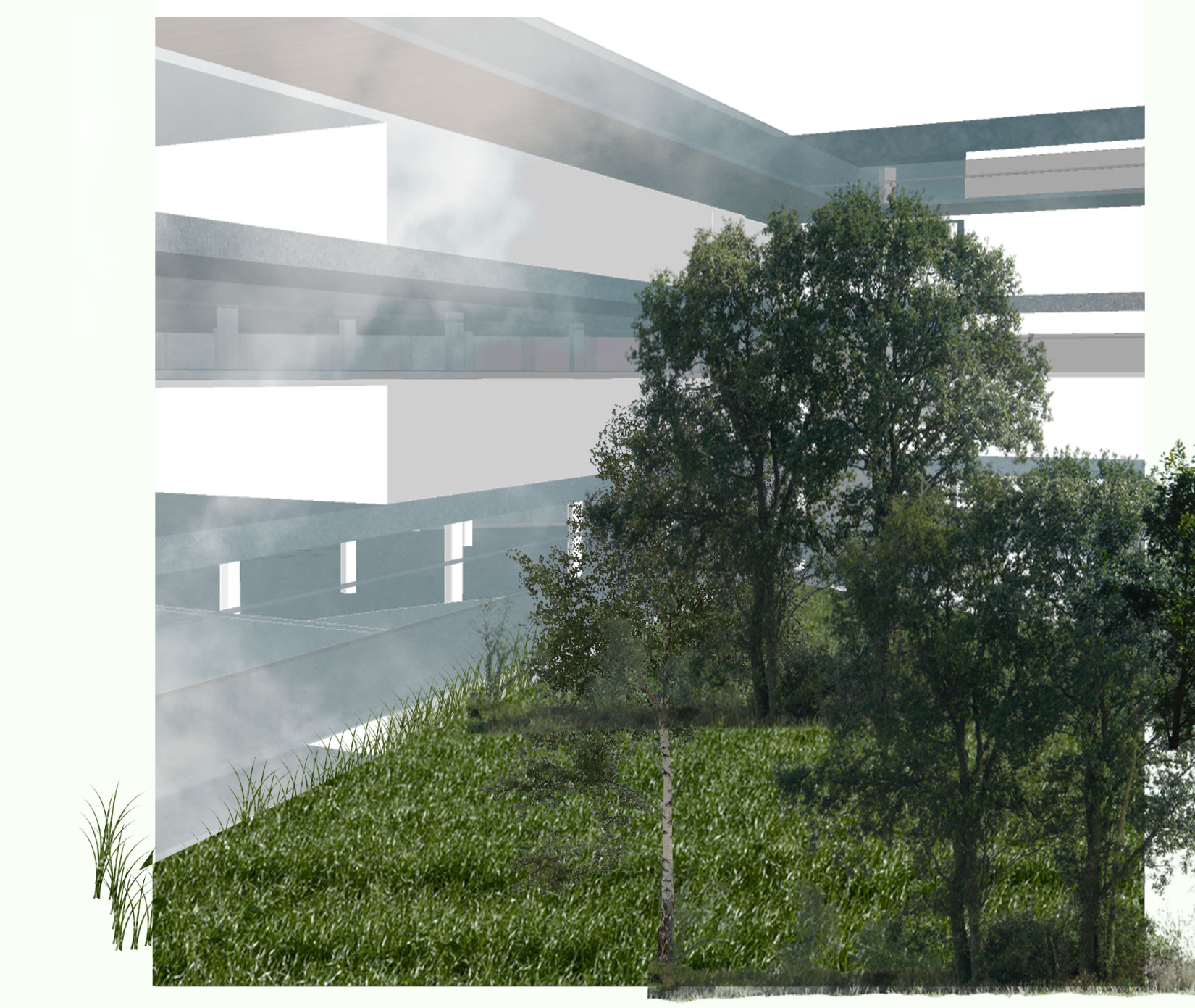 Nature-filled courtyards create a calm educational environment where architecture and landscape merge into one immersive learning experience.
