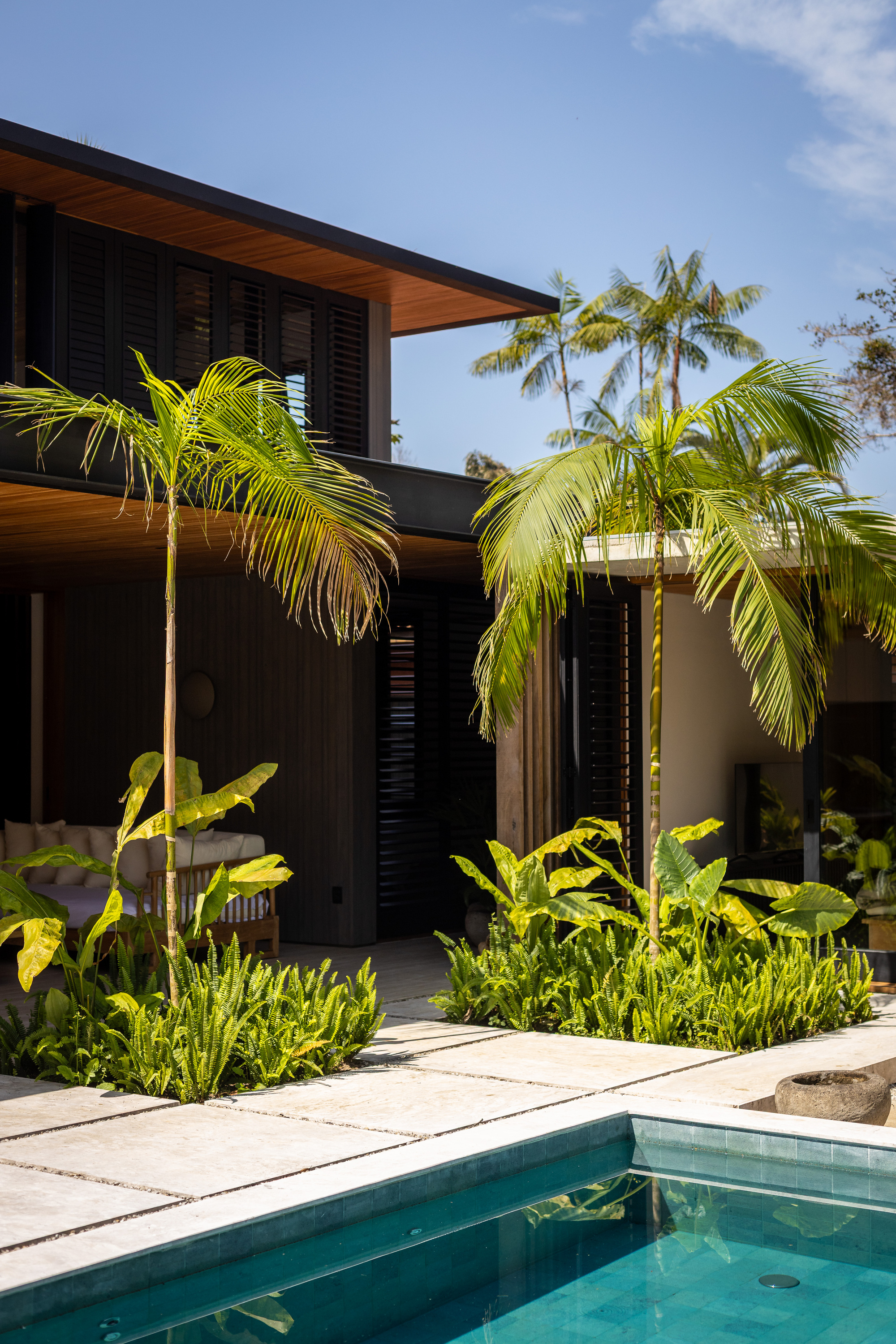Pool courtyard framed by palms and planted beds under afternoon sunlight