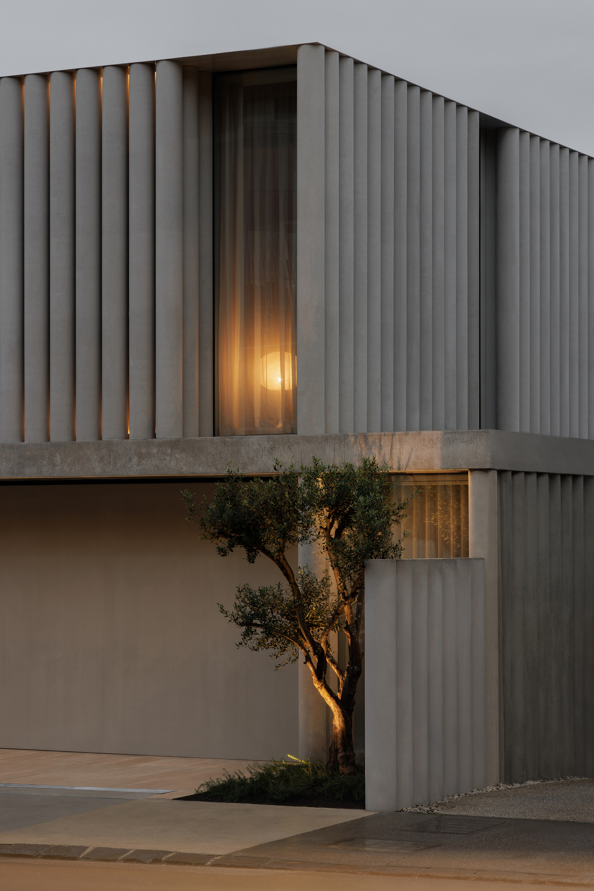 Upper floor facade with vertical concrete fins and illuminated window behind an olive tree