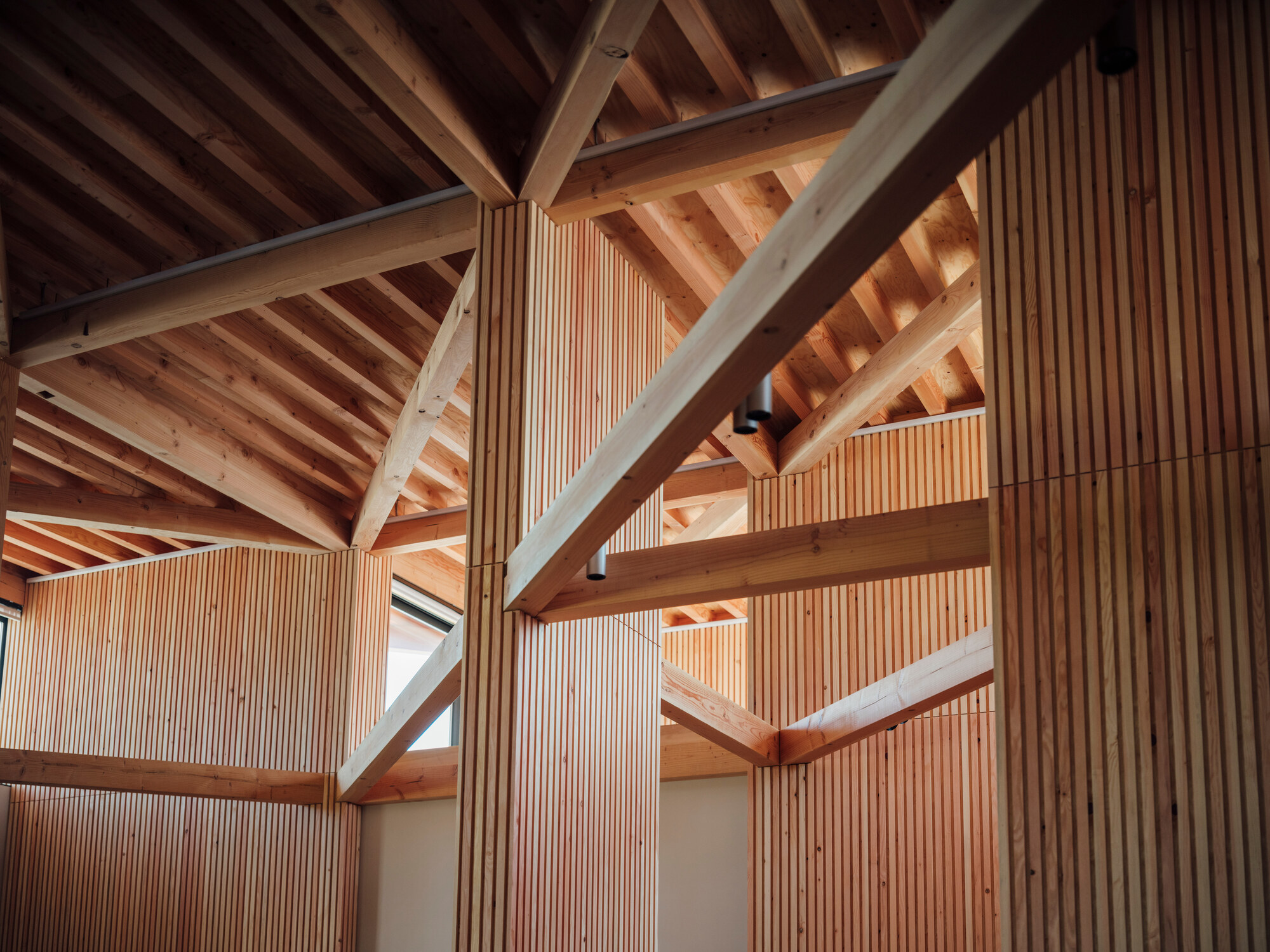 Upward view of intersecting timber beams and vertical slatted partitions beneath the exposed structural roof framing