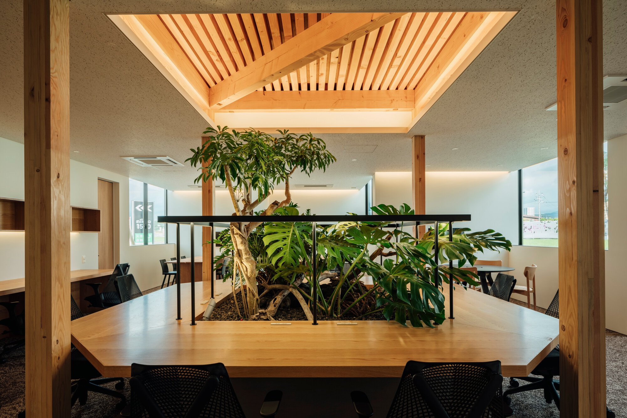 Shared desk with central planter under pyramidal timber skylight and exposed timber columns