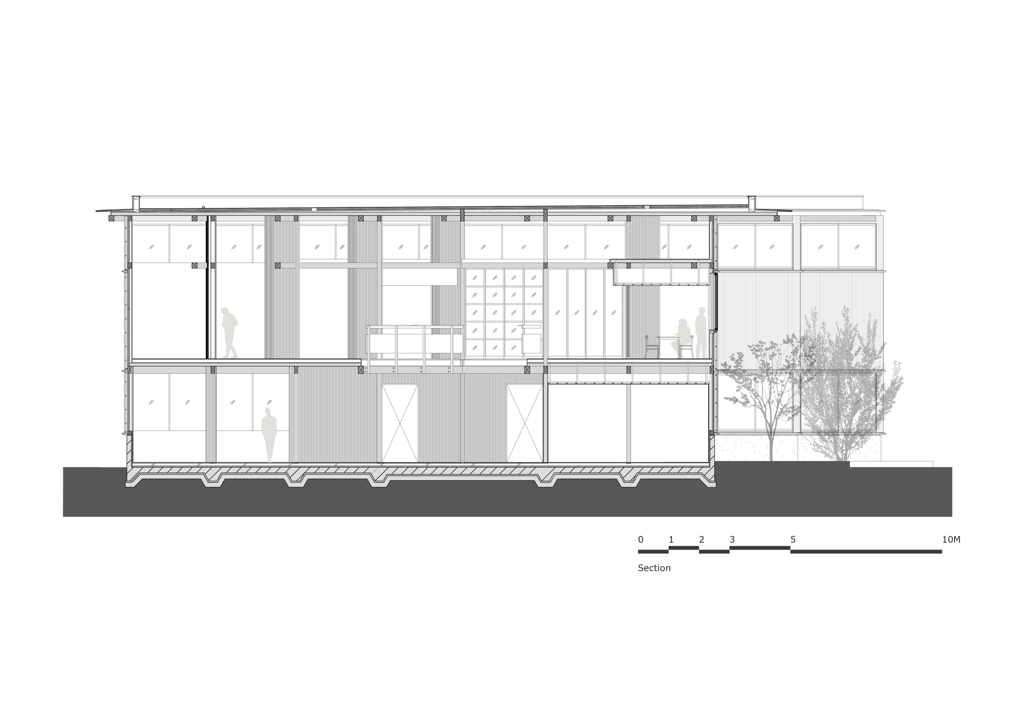 Section drawing revealing double-height interior spaces with clerestory windows and an adjacent tree