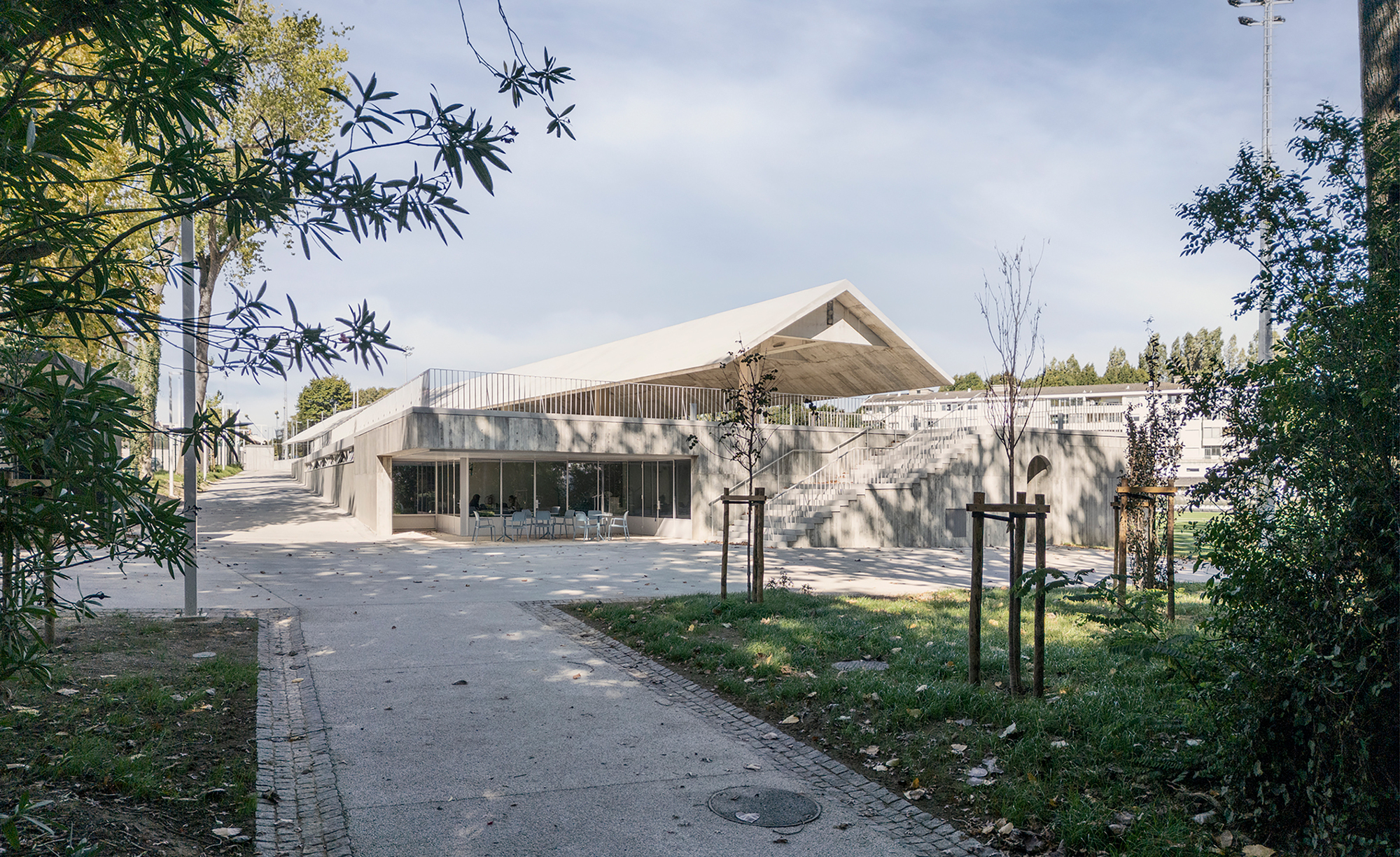 Entrance pathway framed by bamboo and young trees leading to a glass-fronted pavilion with a gabled concrete roof