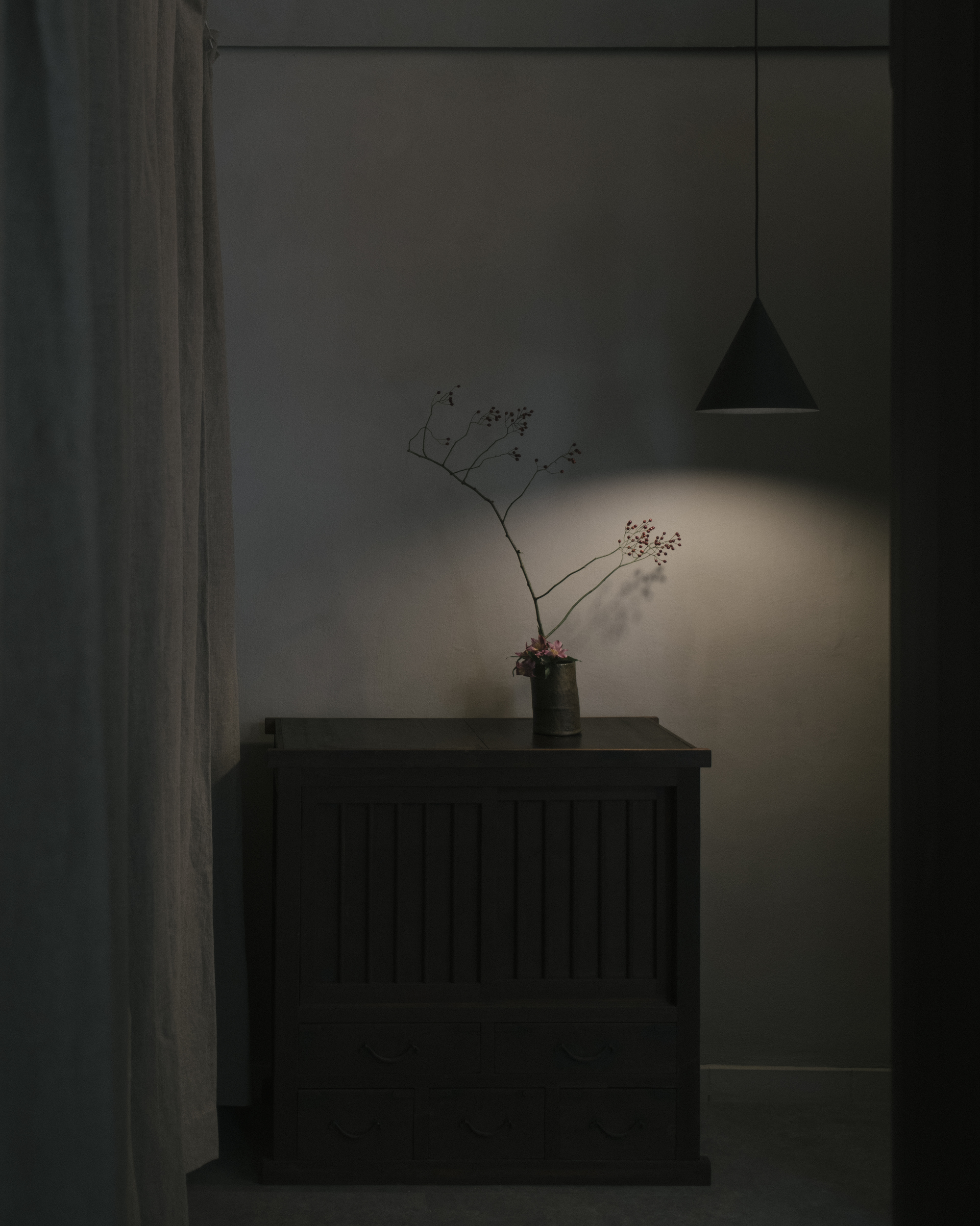 Black pendant lamp illuminating dried branches in a vase on a dark cabinet