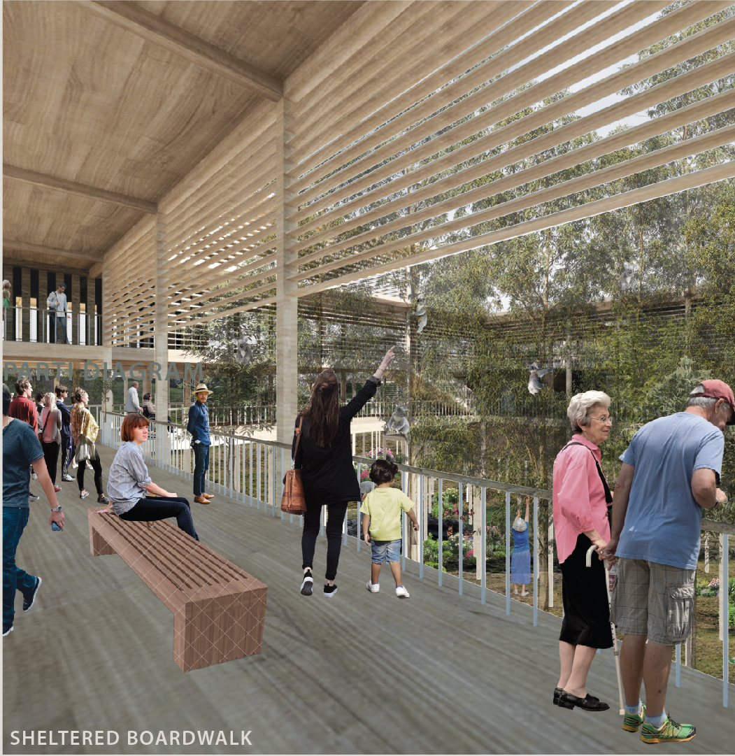 Semi-outdoor timber boardwalk enabling immersive visitor interaction within a climate-responsive, wildlife-sensitive architectural system.