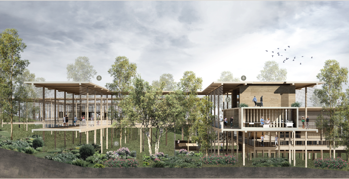 Elevated timber structures blending into the landscape, minimizing ecological footprint while enabling continuous human-nature interaction.