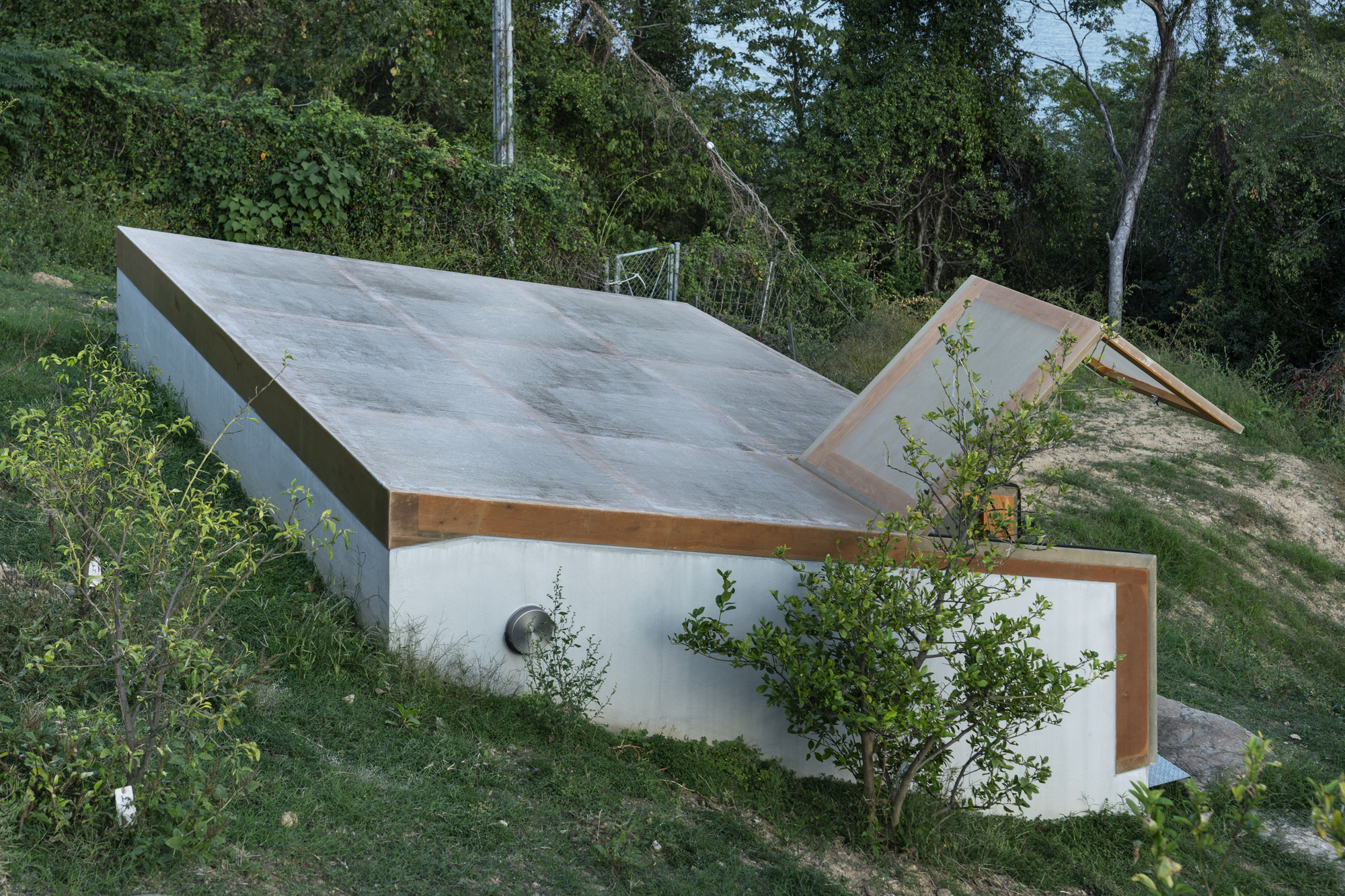 Angular concrete roof planes with timber edges emerging from a sloped grassy site