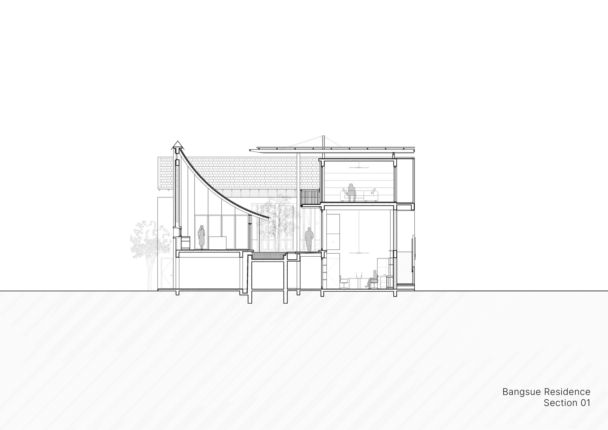 Section drawing showing split-level interior spaces with a curved roof and trees in the background
